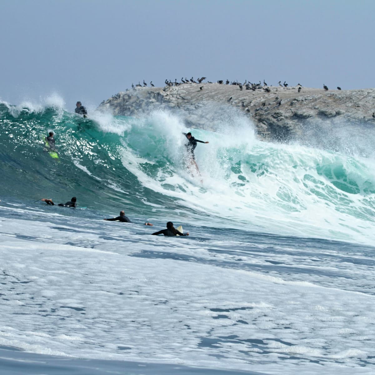 Famous clearance peruvian surfers