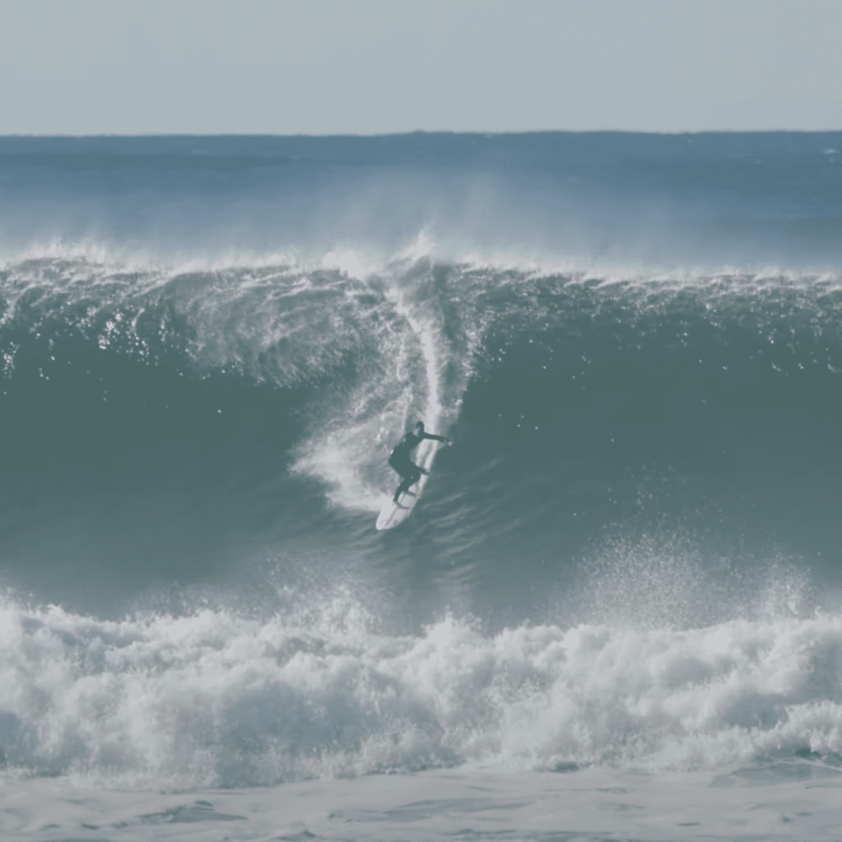 1 foot shop waves