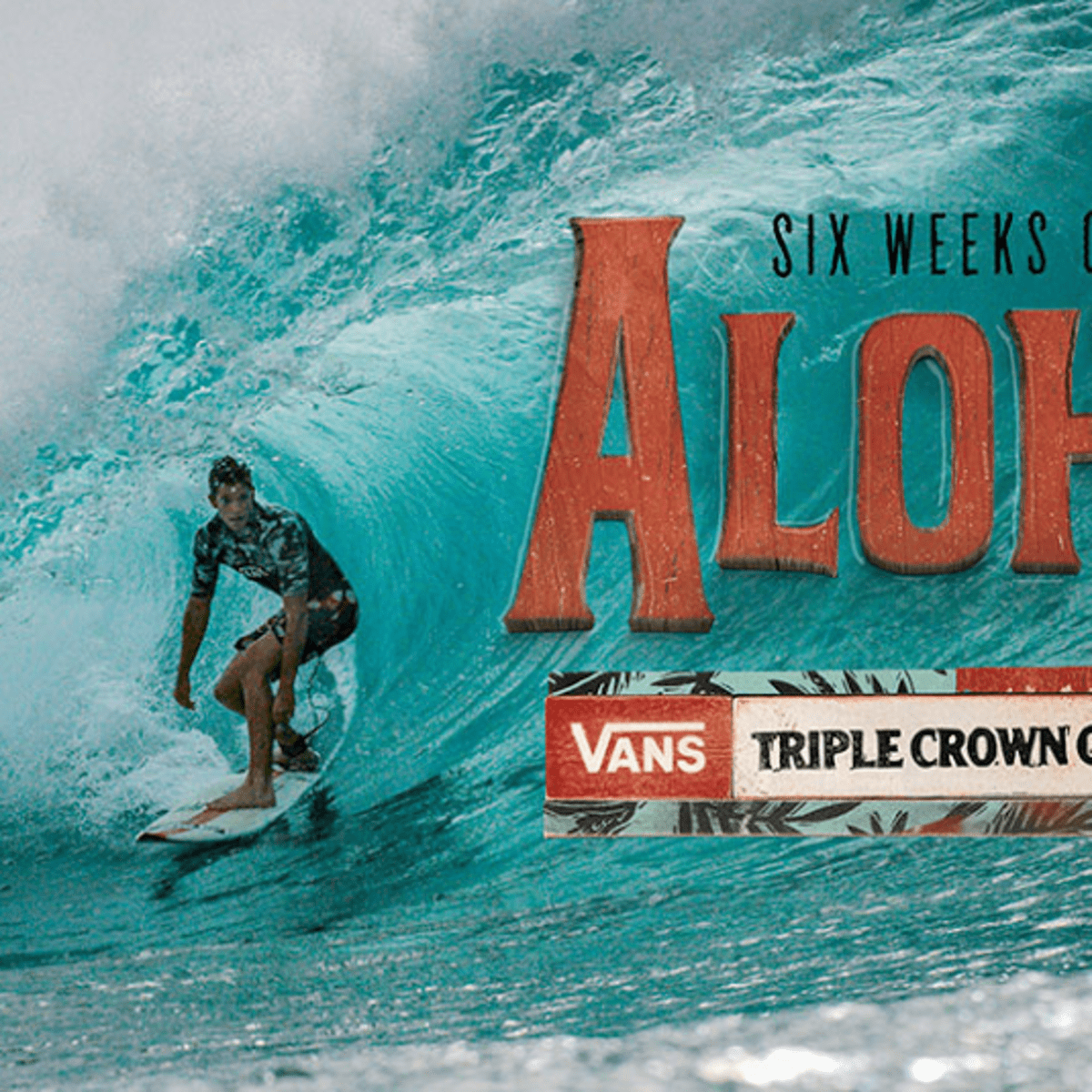Vans surf poster sale