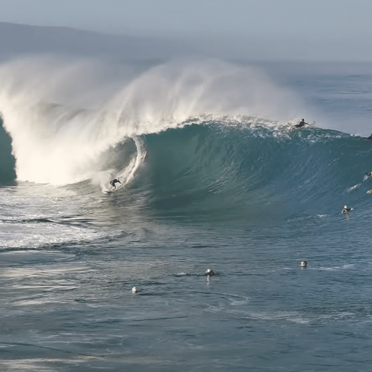 Black clearance friday surf