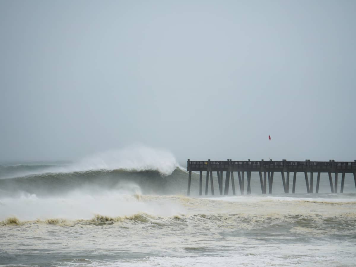 Wave hurricane new arrivals