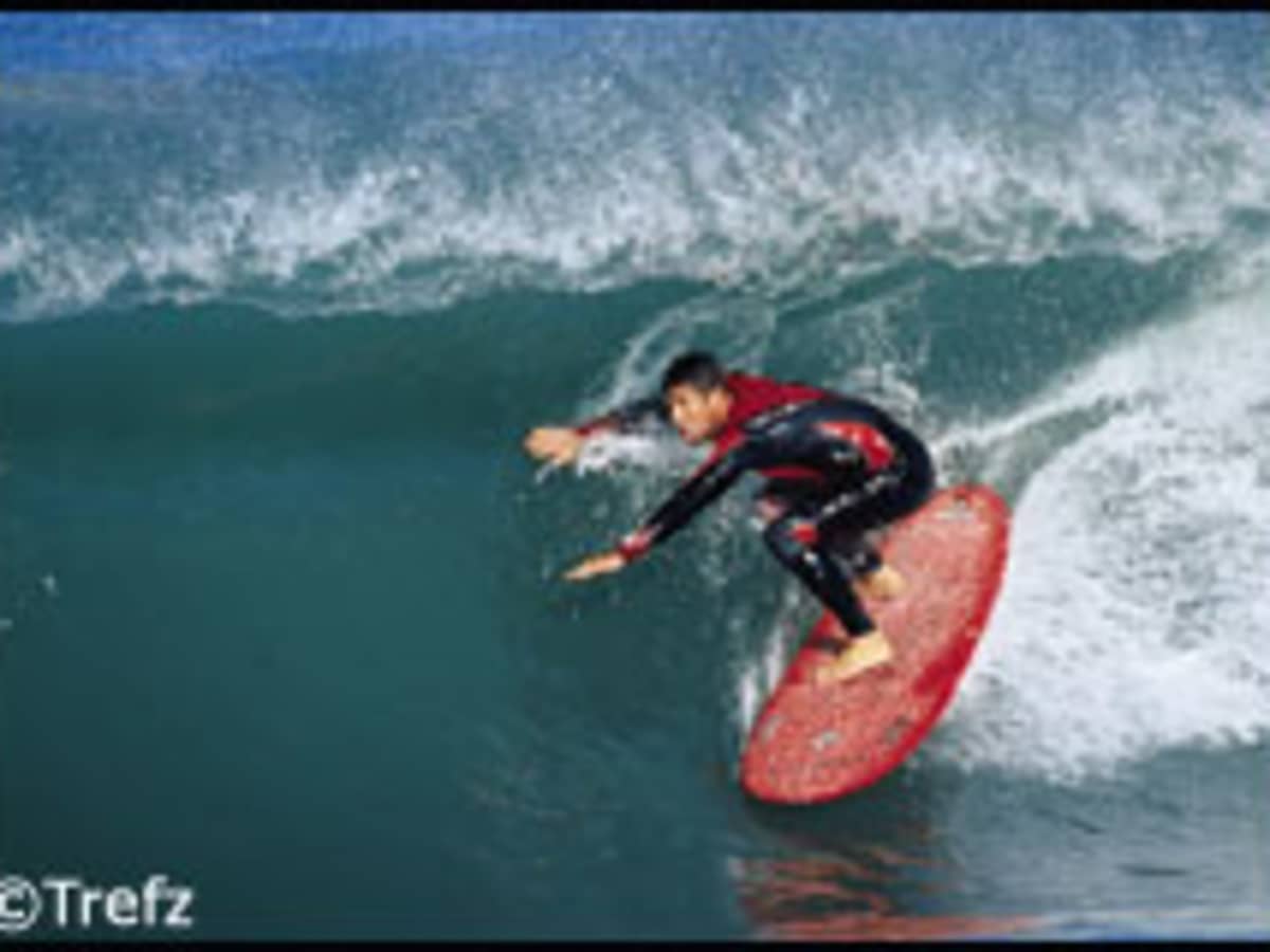 Wingnut longboard online