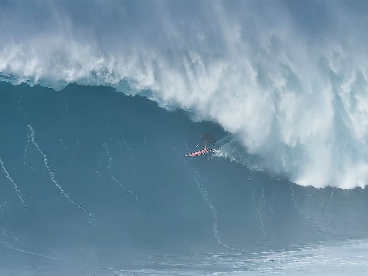 Surfing jaws 2020 sale