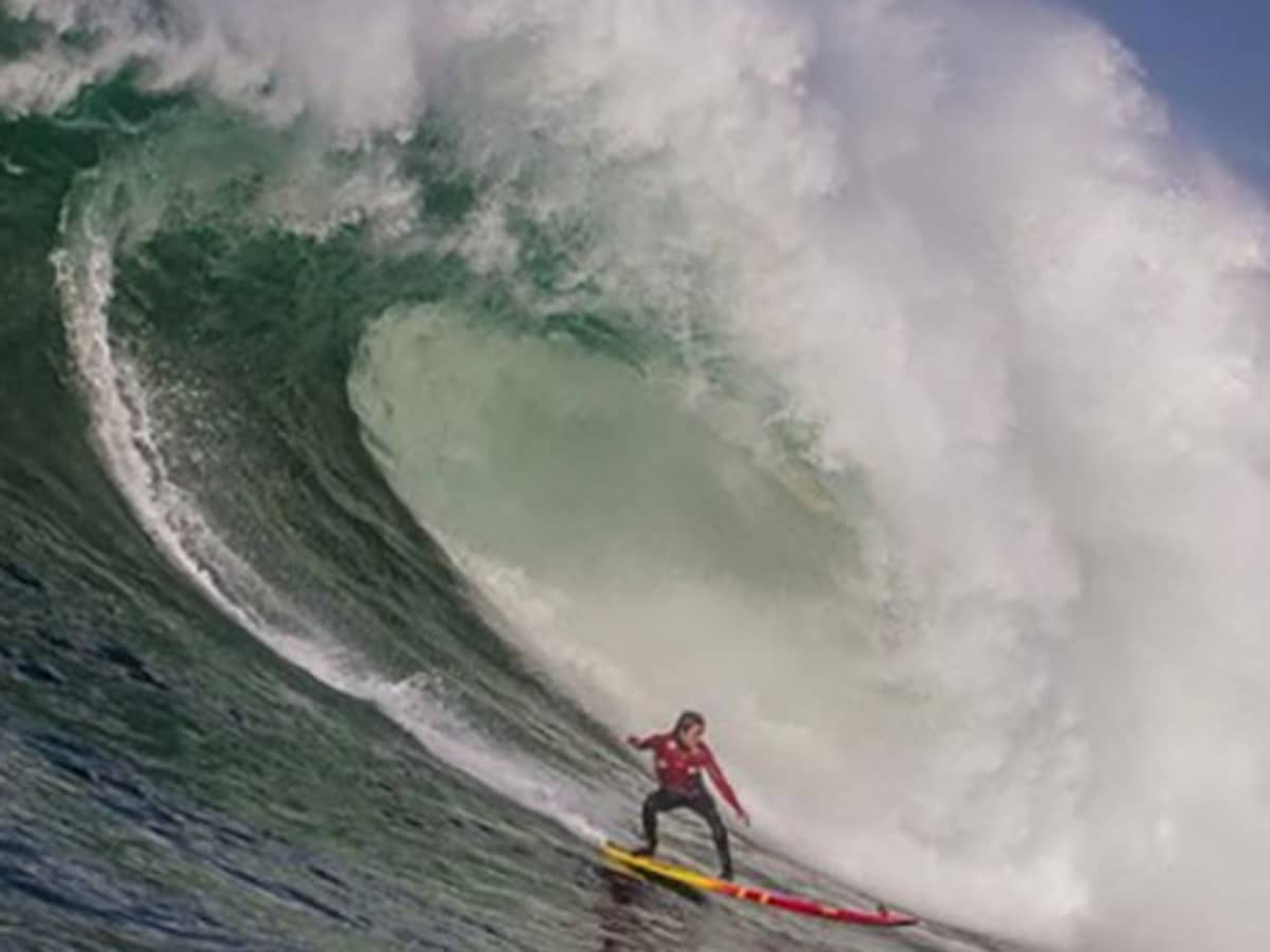 Nelscott reef deals