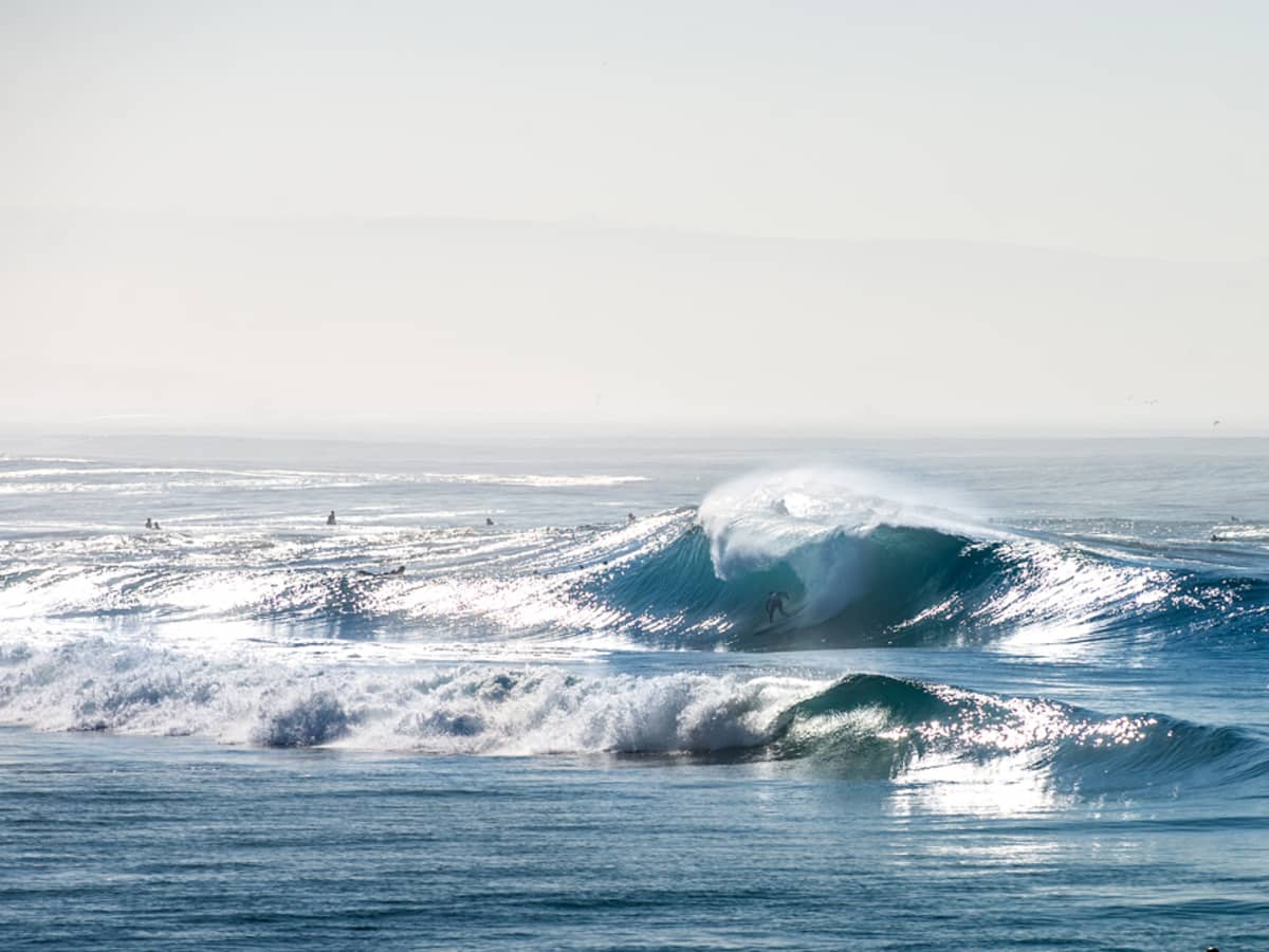 Large surf online