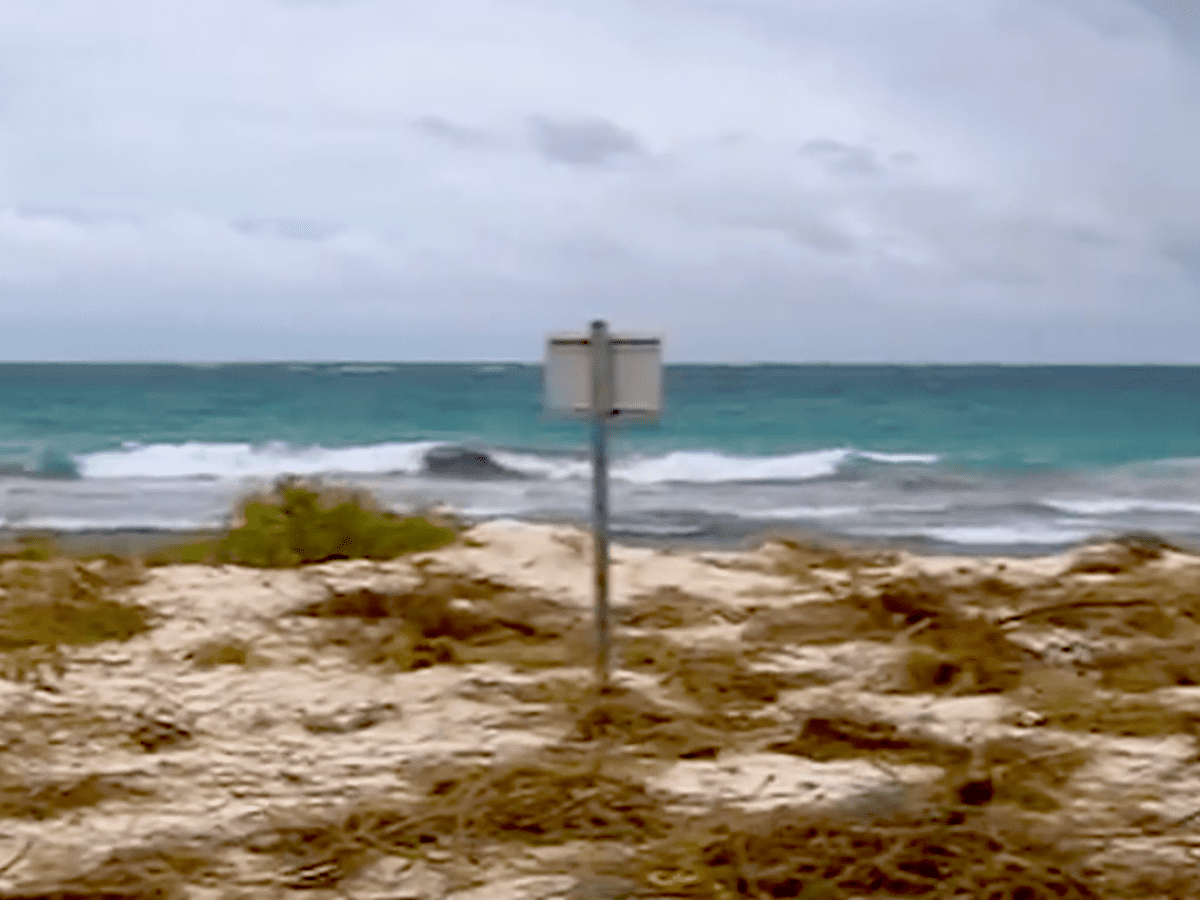 Wave deals rider joondalup