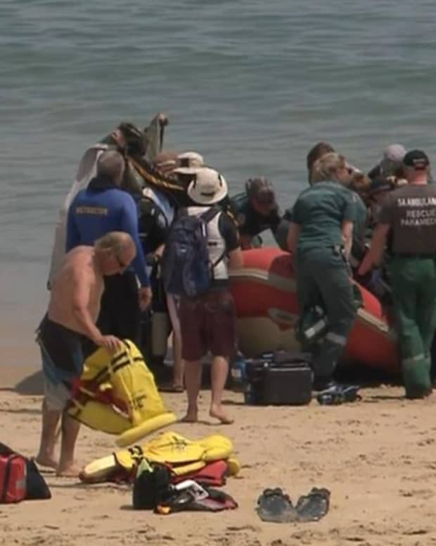 Shark Attacks New Zealand Woman Walking in Knee-Deep Water