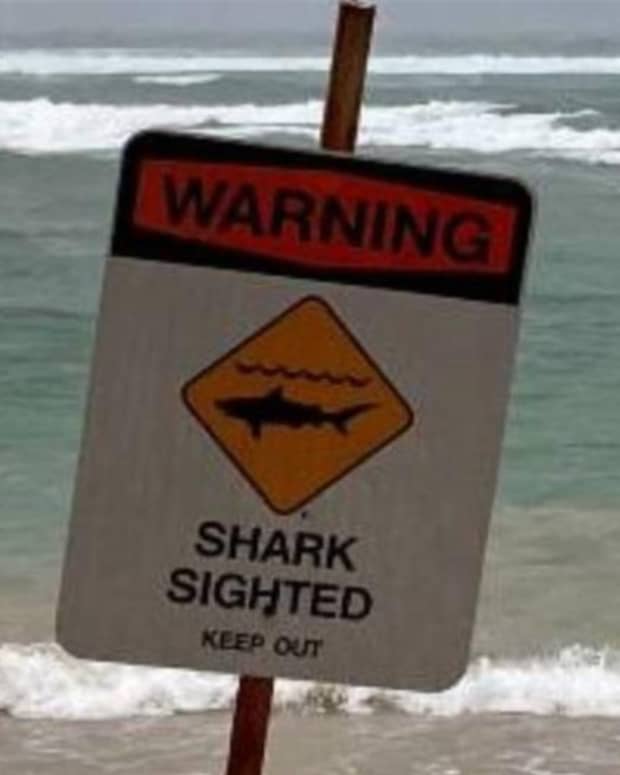 Following Shark Attack and Sighting, Surfing Allowed Again on Kauai