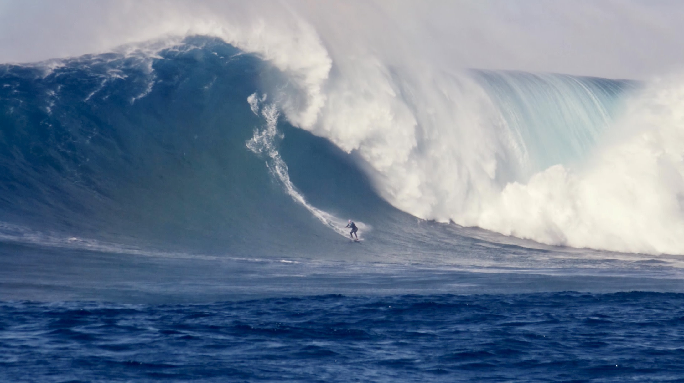 michaela-fregonese-by-vincent-