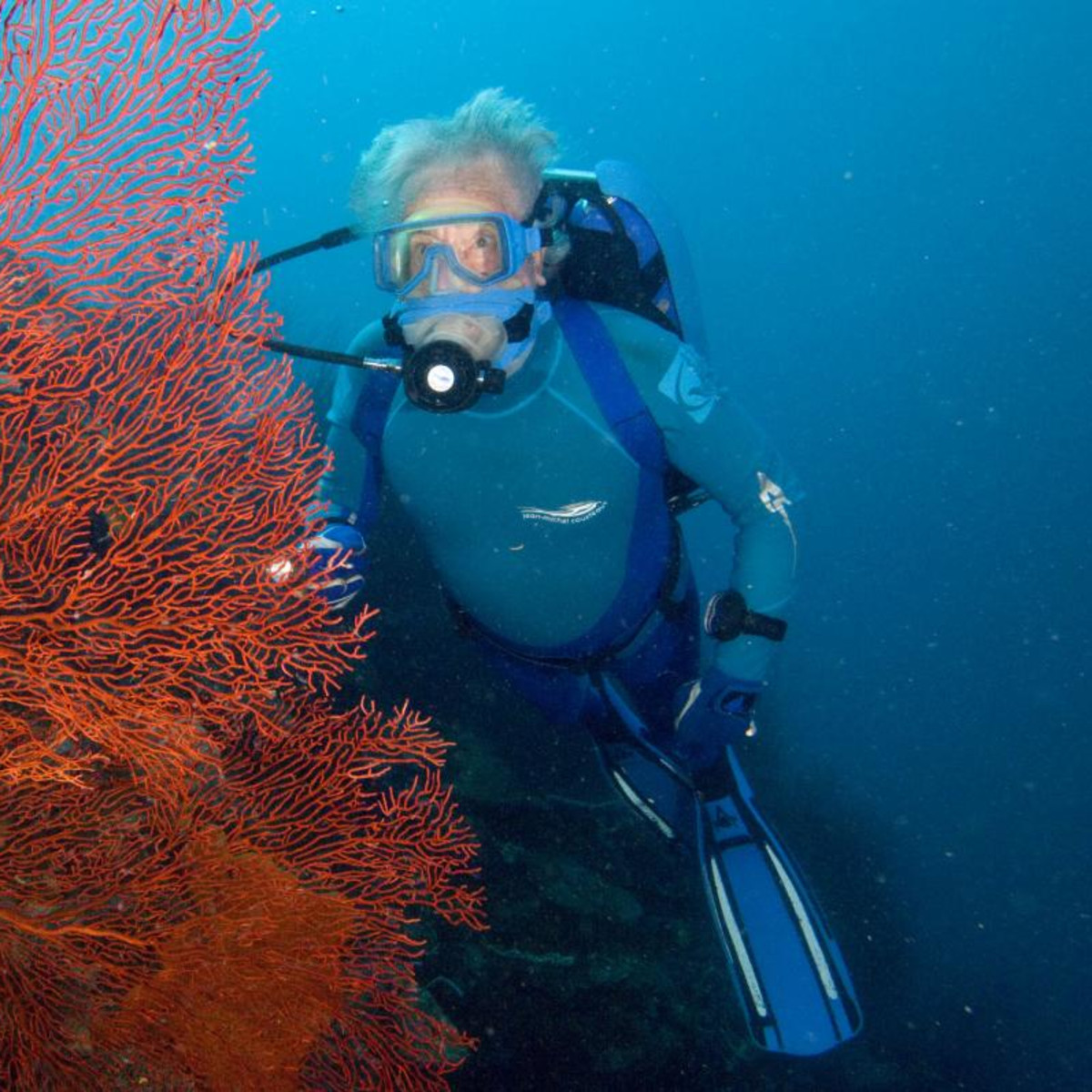 洋書 Jean-Michel Cousteau OCEANS Jean-Michel Cousteau | Keynote Speaker | Book for Your Event