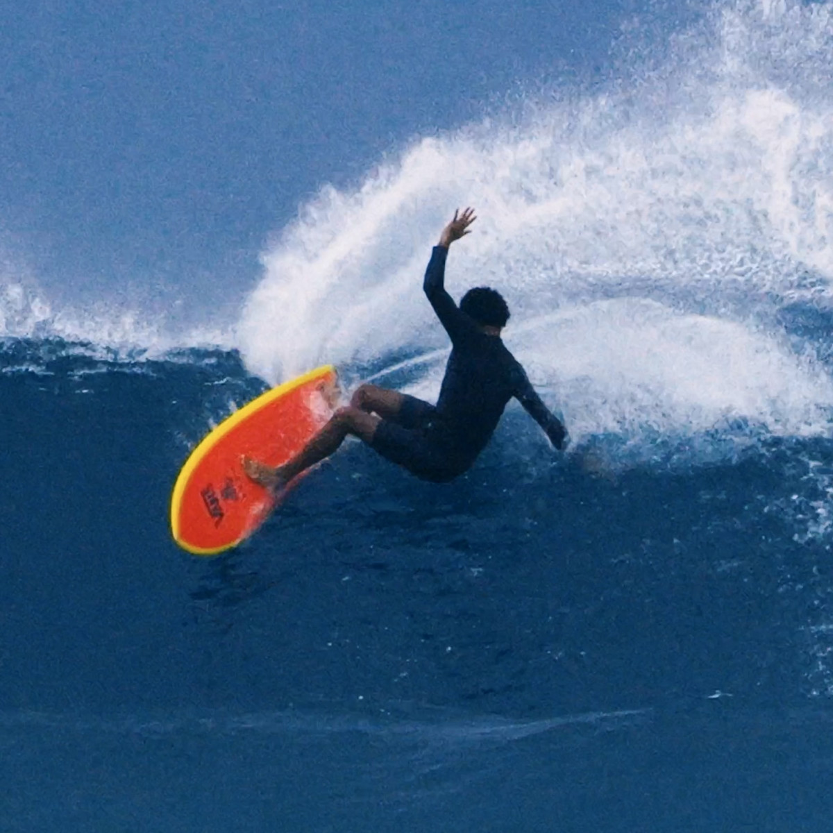 spearfish-final-mp4_-