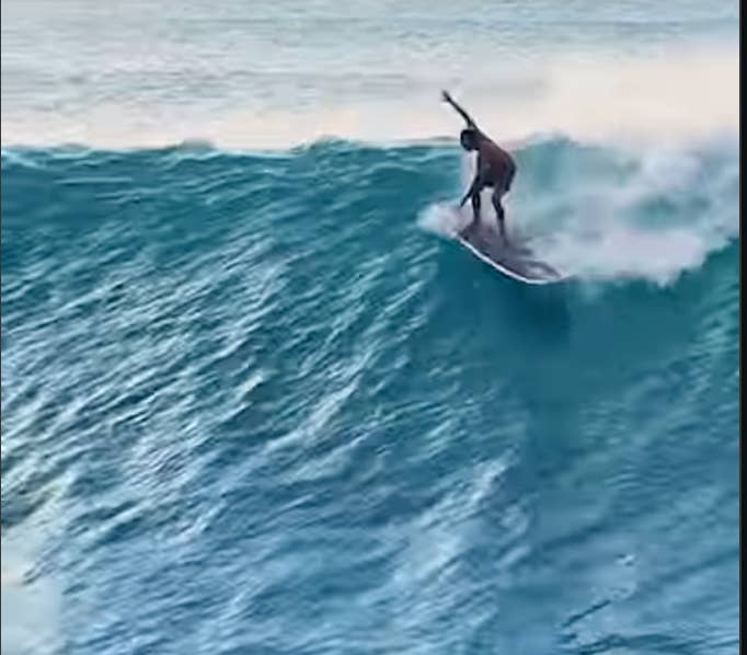 Kai Lenny Blows Minds at Pumping Sunset (Video) - Surfer