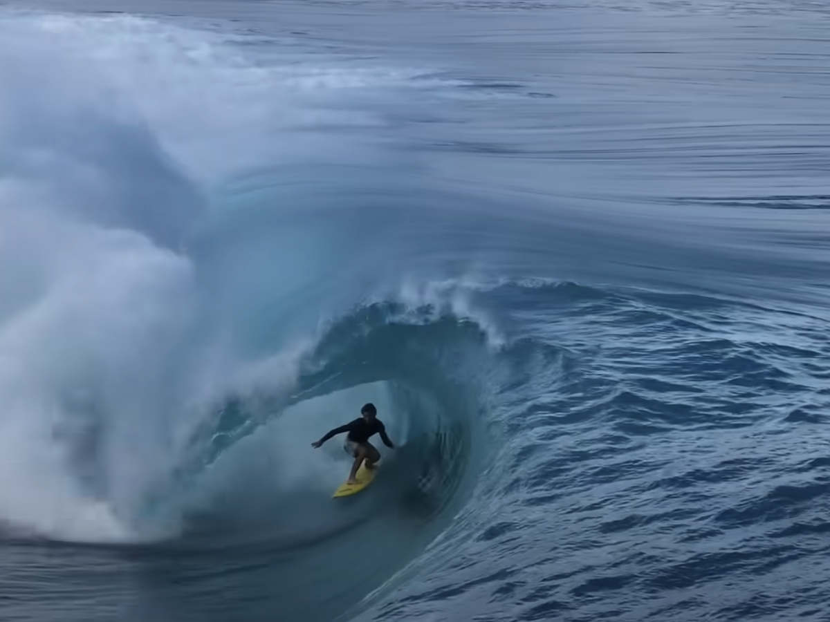 THC SURFBOARD　TOSH MODEL　ロングボード　サーフボード THC Surfboard ” Tosh model by THC Surfboard 9'6 ” By Todd