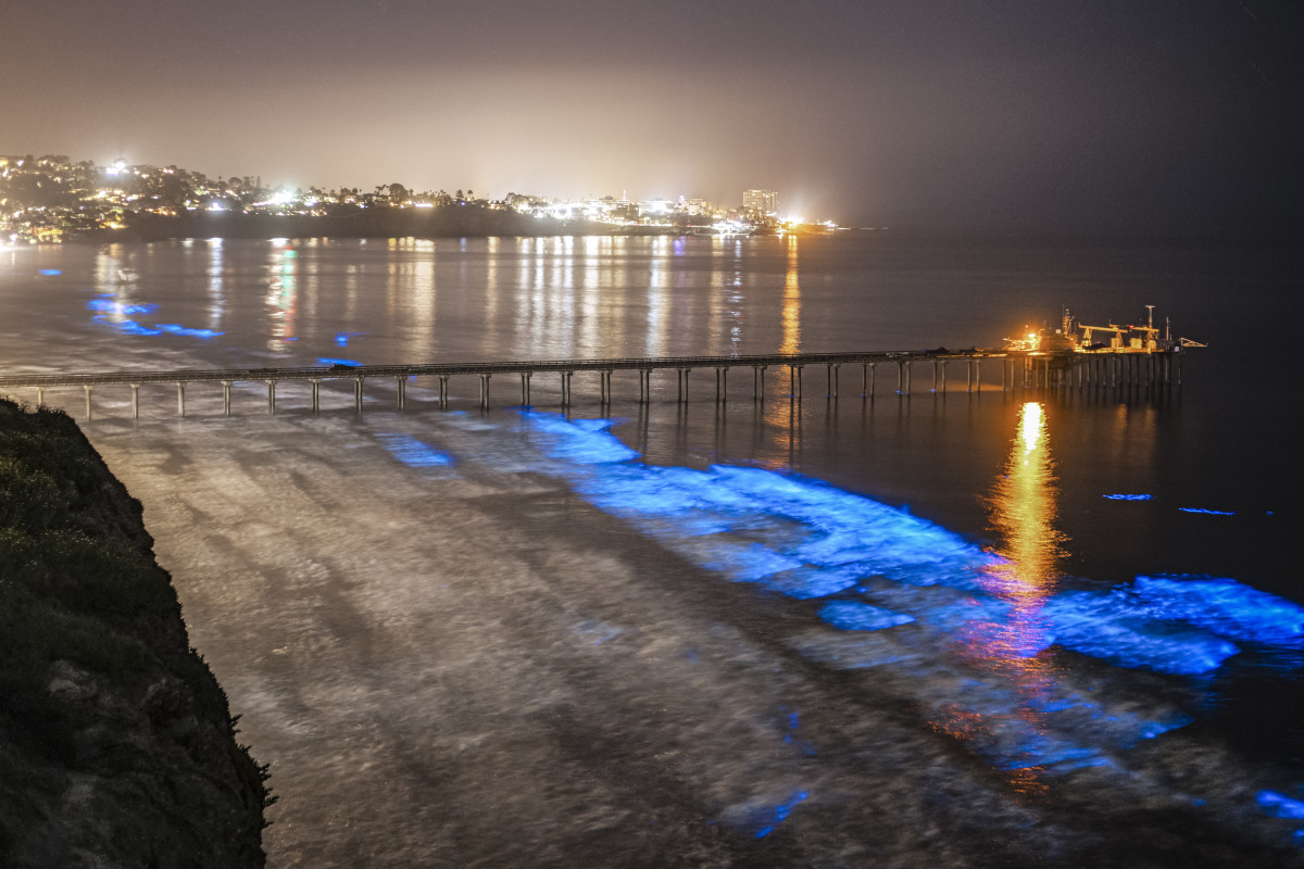 Red Tides Off Southern California Coast Are Getting Worse, New Scripps
Study Finds