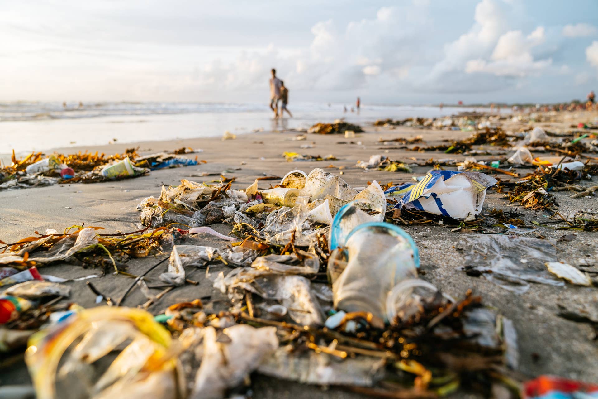 Kelly Slater: Bali's Waste Problem & Zero-Waste Solutions