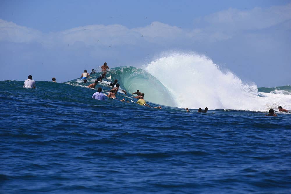 Snapper in the Spotlight SURFER Magazine Surfer