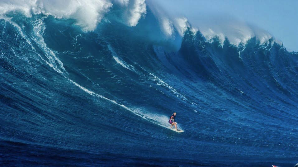 Rip Curl Wave Logo