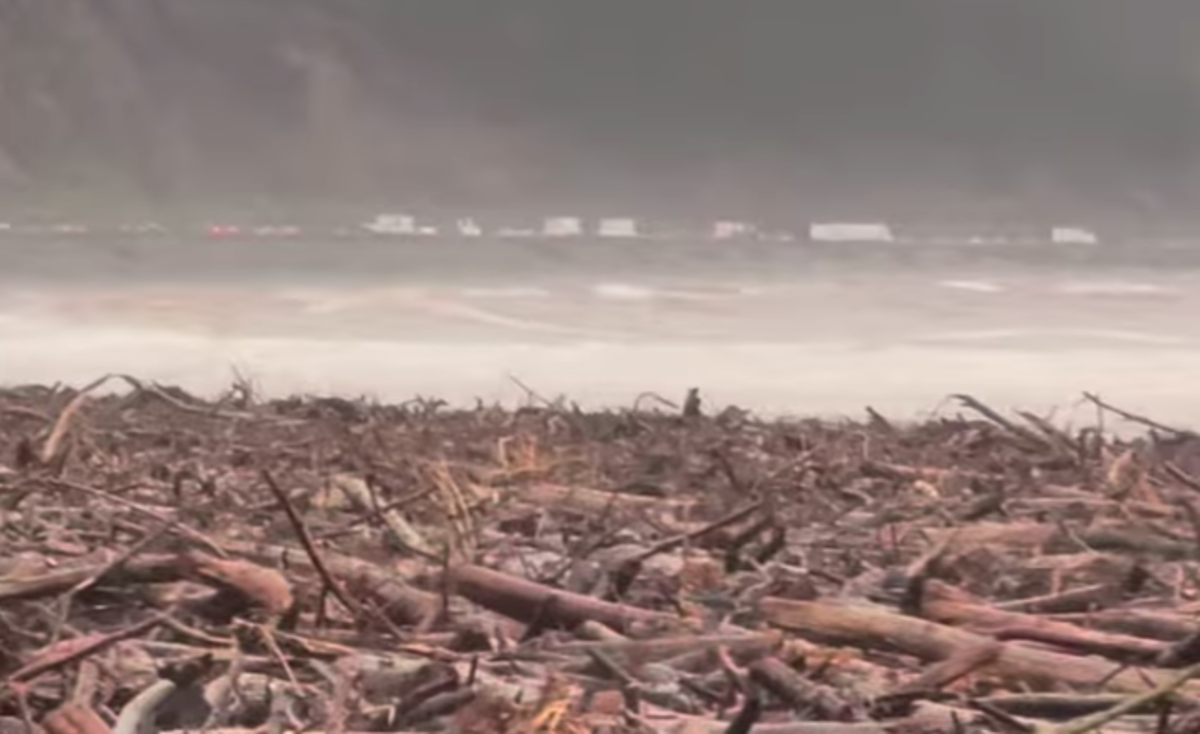 Rincon in Chaotic State After Recent Storm Surge Surfer