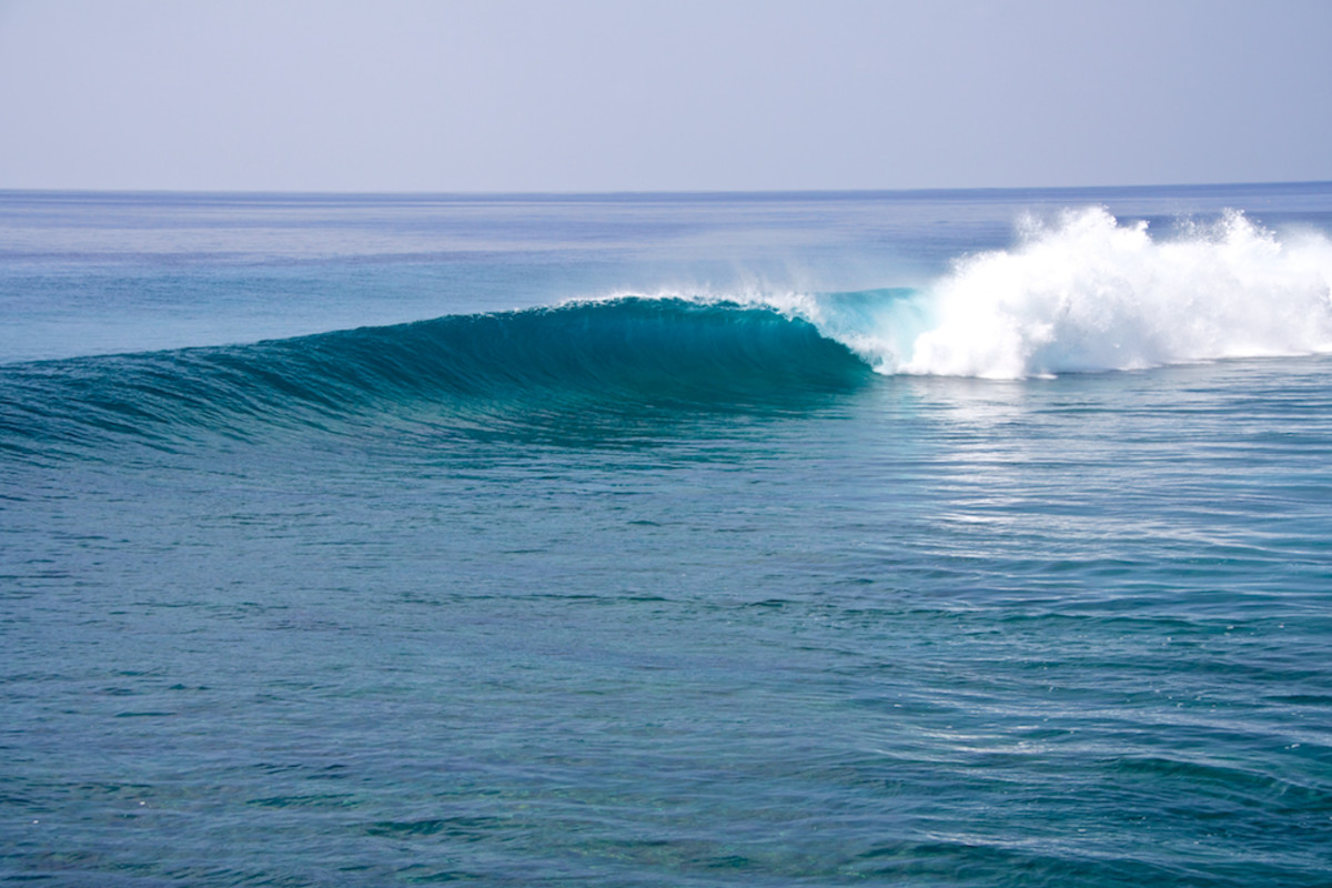 Mangalore Lensman Surfer