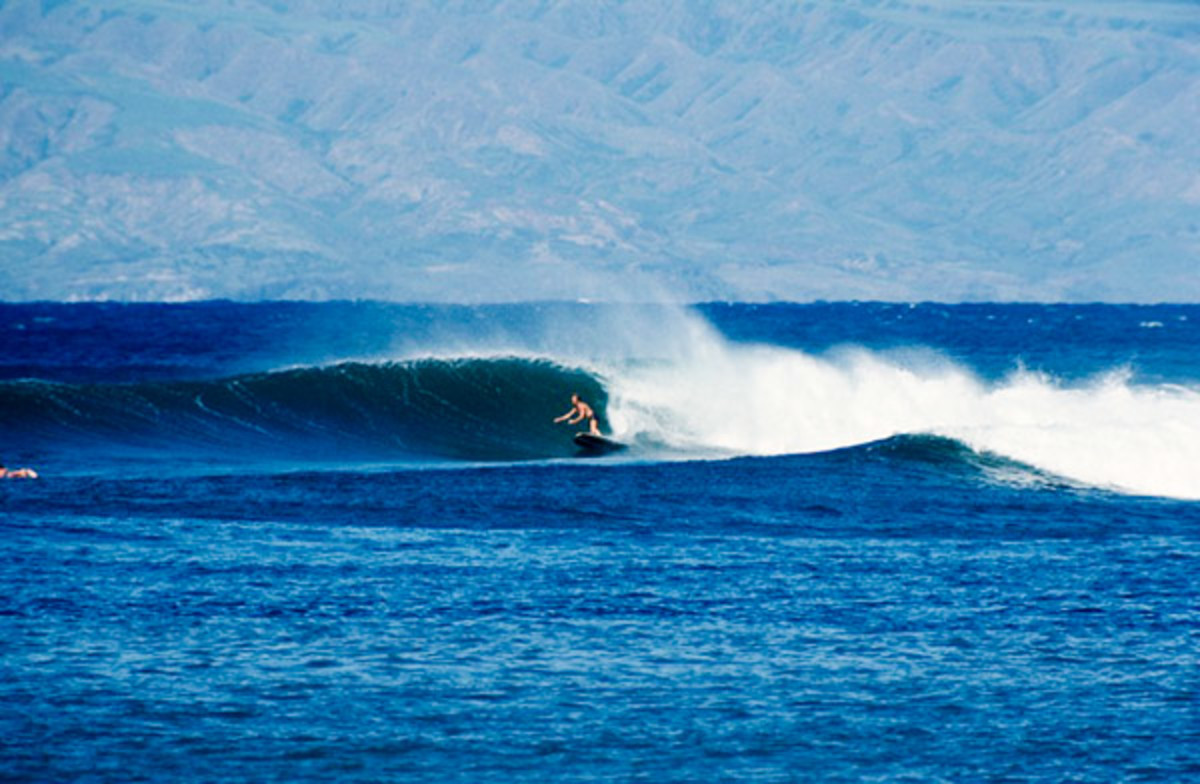 Inside Seal Beach's 60YearOld Surf Shop, Harbour Surfboards