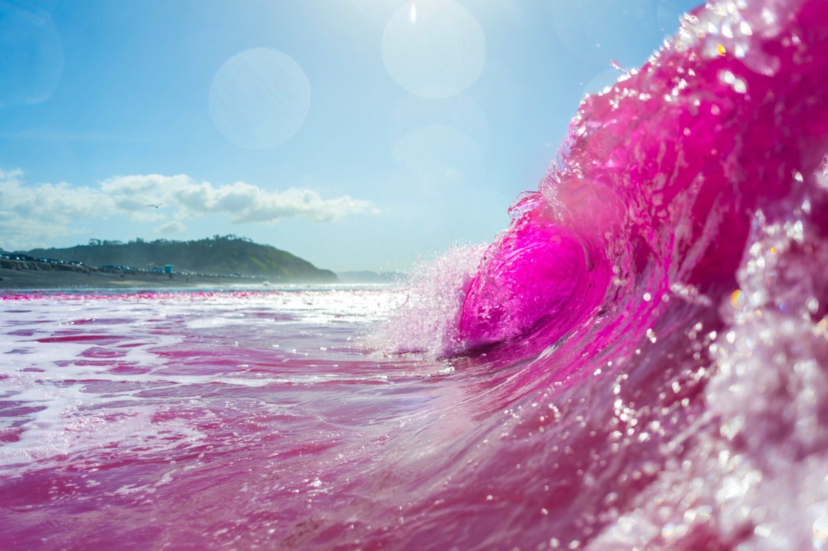 These Waves Were Dyed Pink in the Name of Science Surfer