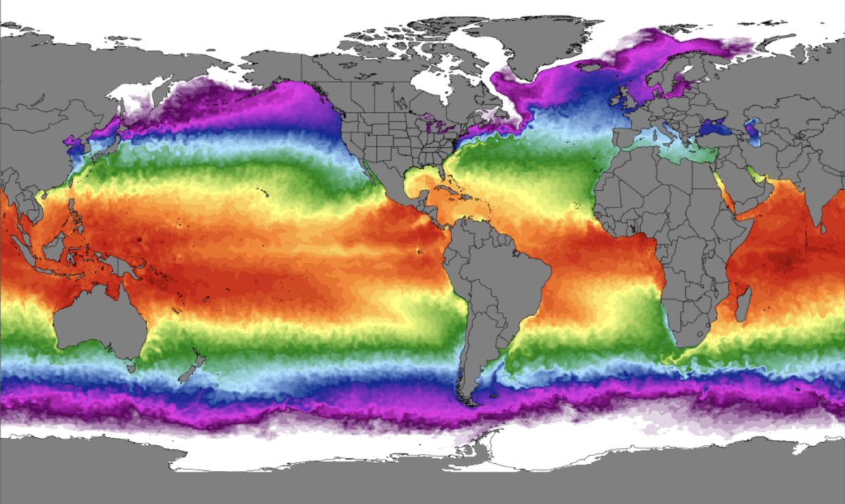 Ocean temperatures break record hit all time high surfer