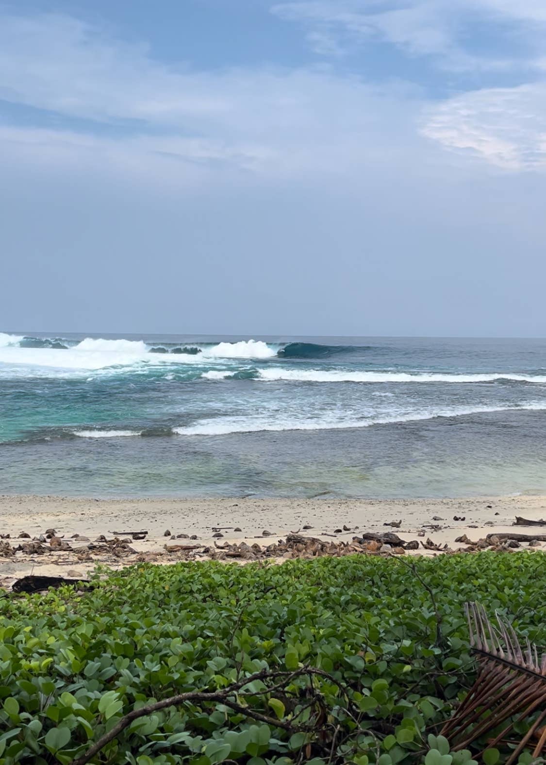 Surfboard Review The Happy Traveler by Channel Island Surfboards Surfer