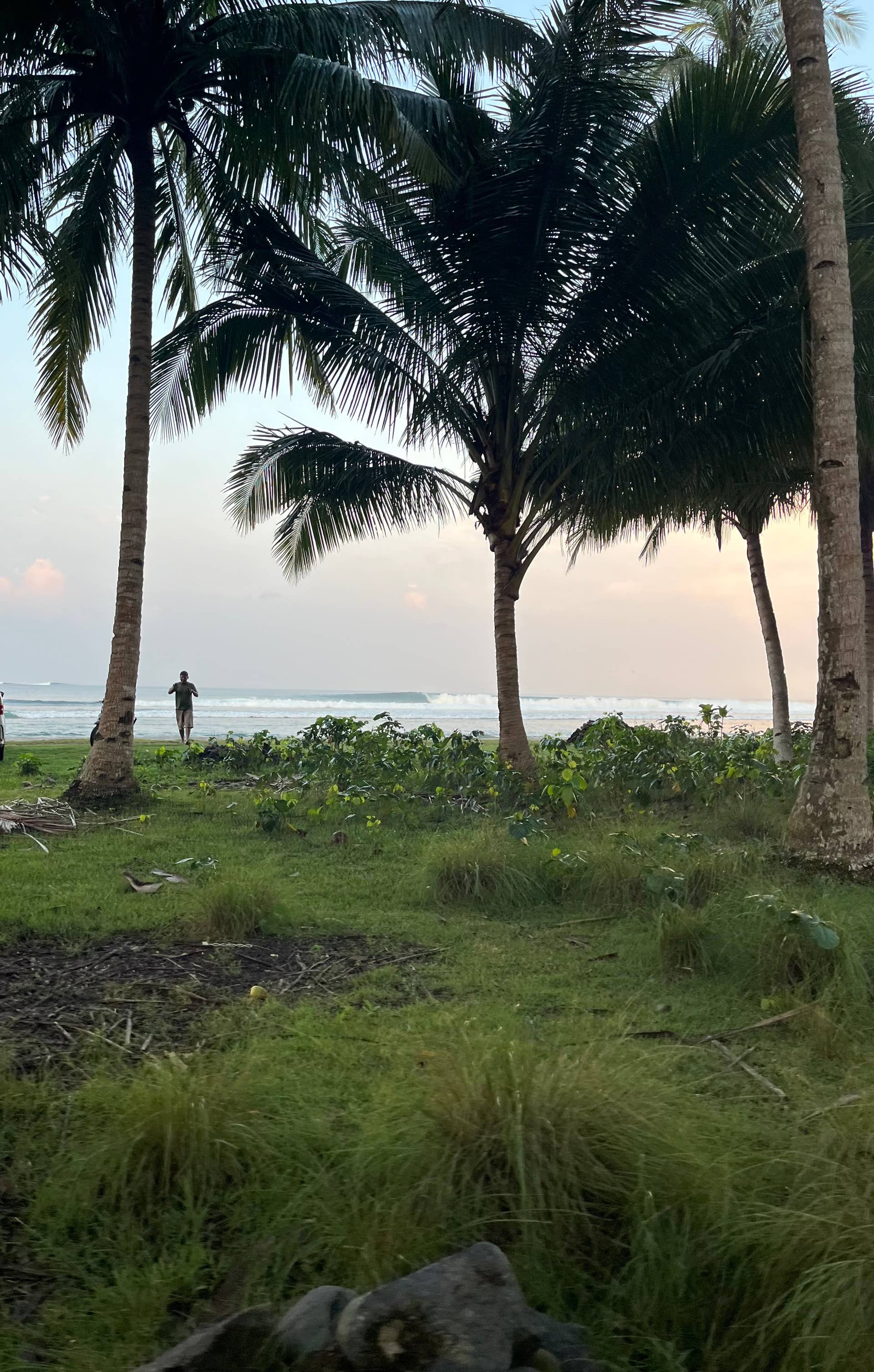 Surfboard Review The Happy Traveler by Channel Island Surfboards Surfer