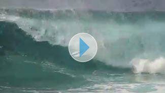 Jake Halstead // Tropical Dream // 3:02 - Surfer