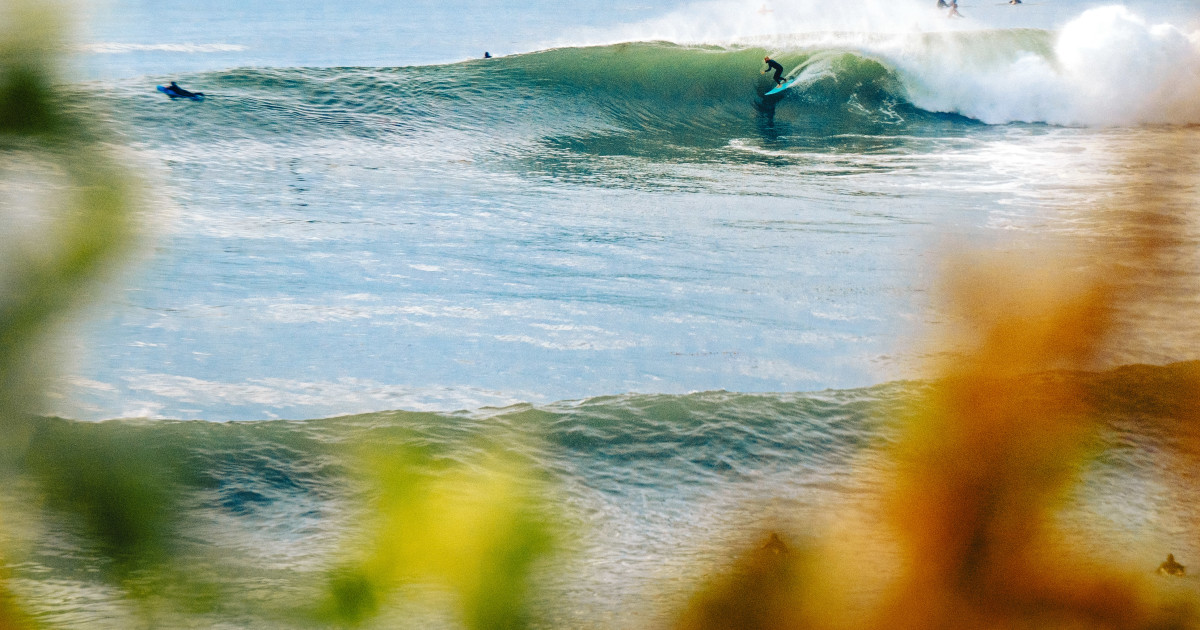 domwstone_12-22-2024_sandiego-