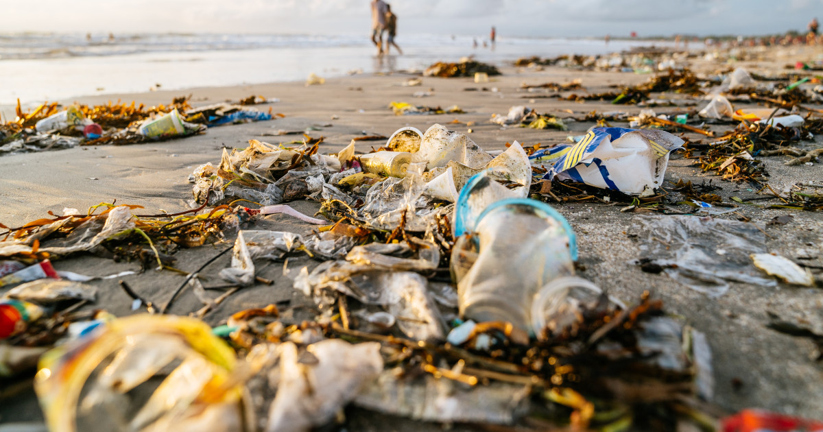 A Realistic Solution for Plastic Pollution? This Mad Surfer-Scientist Thinks So