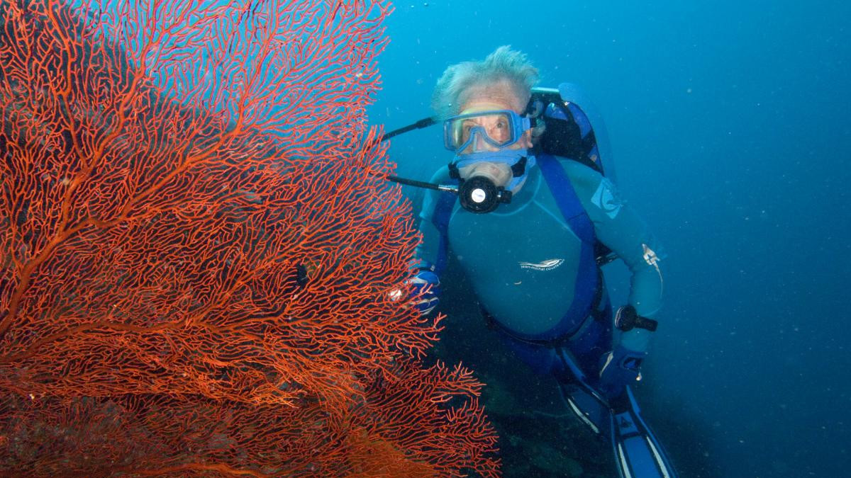 jeanmichelcousteau_dive_ocean.jpg