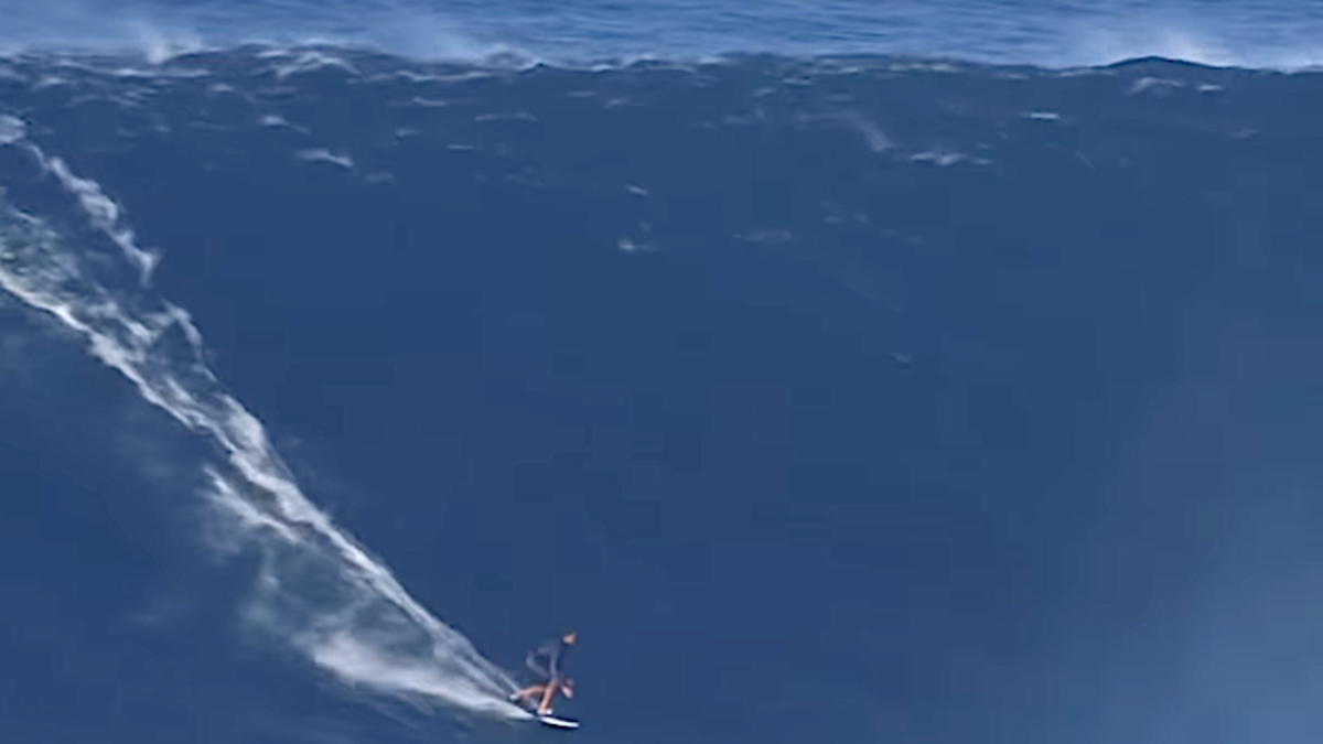 screen-shot-2024-12-30-at-1-37