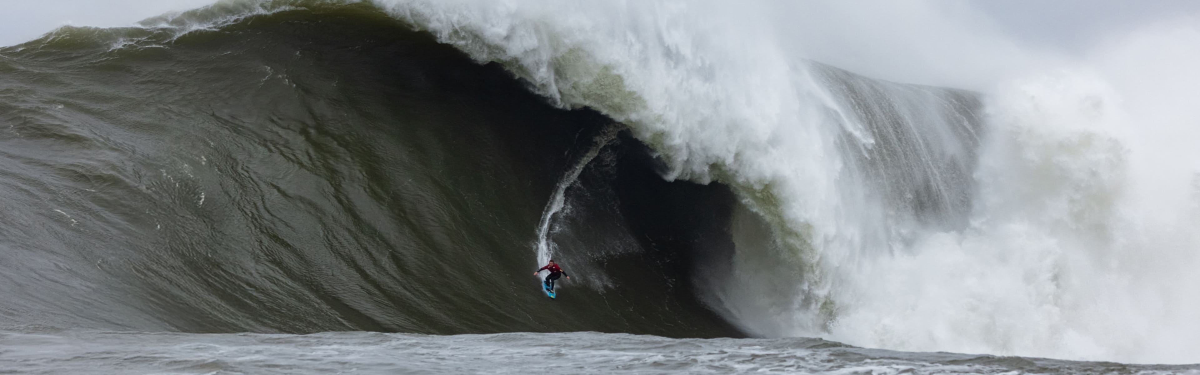 Mavericks swell hotsell