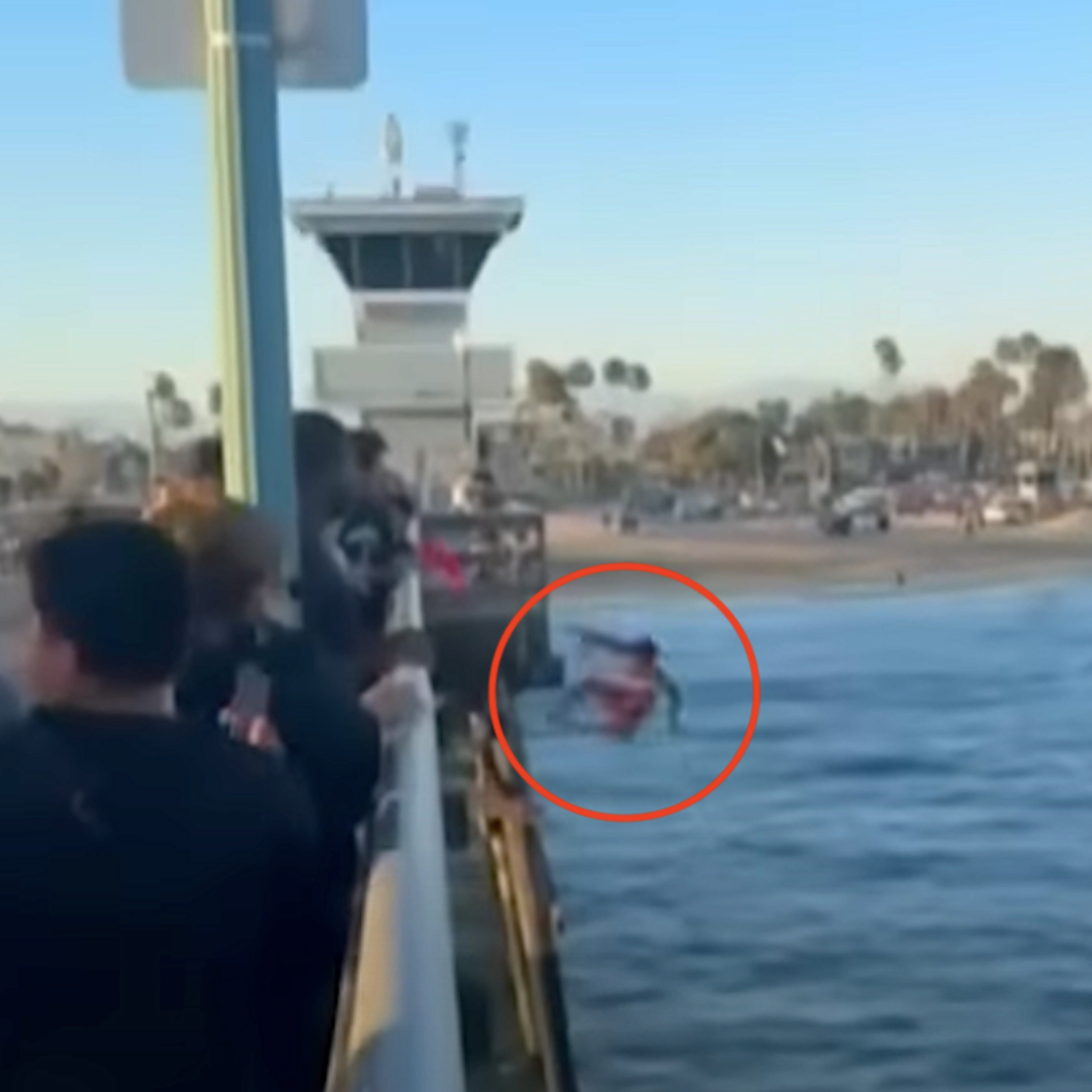 OC Lifeguard Slams Into Pier During Rescue Jump (Watch)