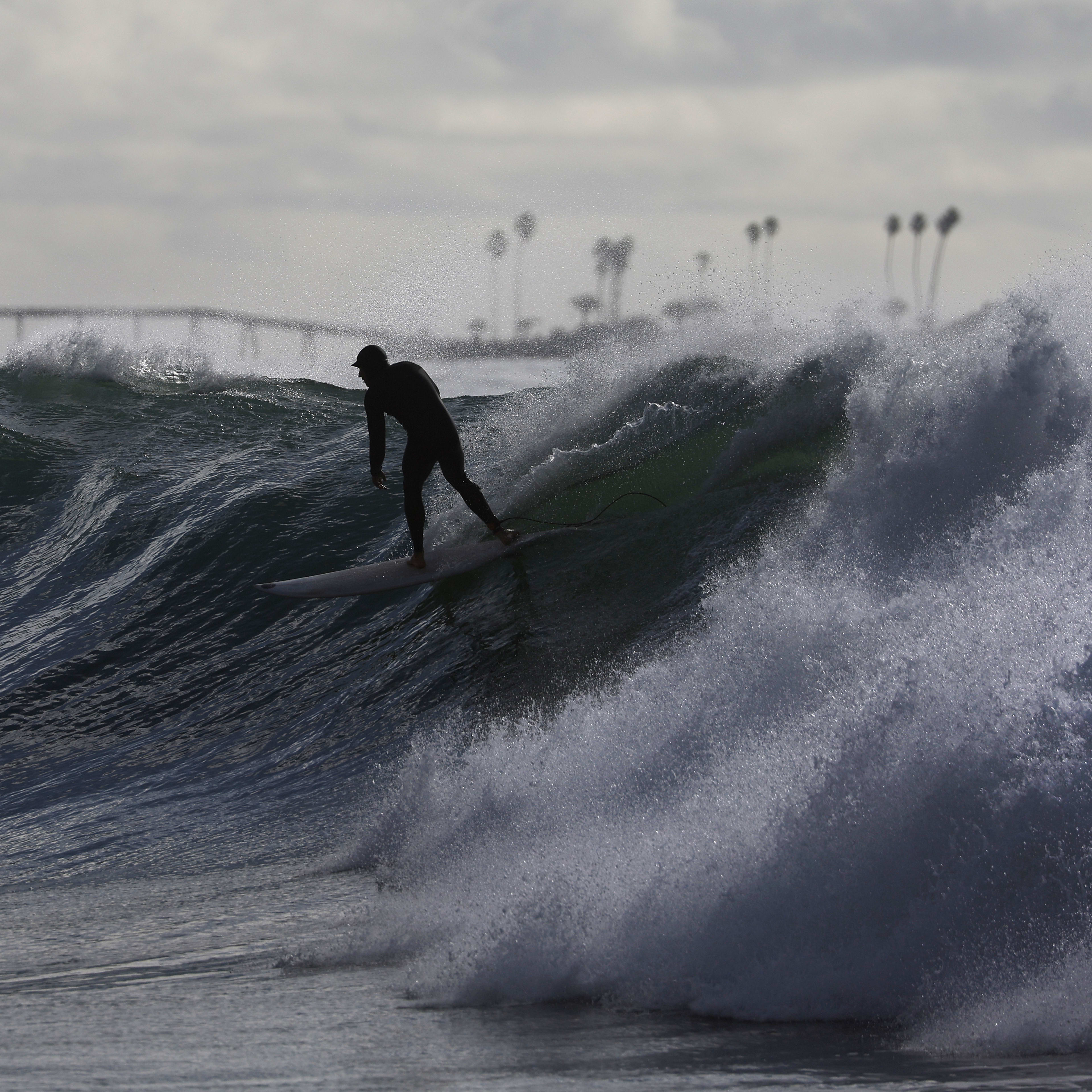 Month Of The Shaper: Jeff 