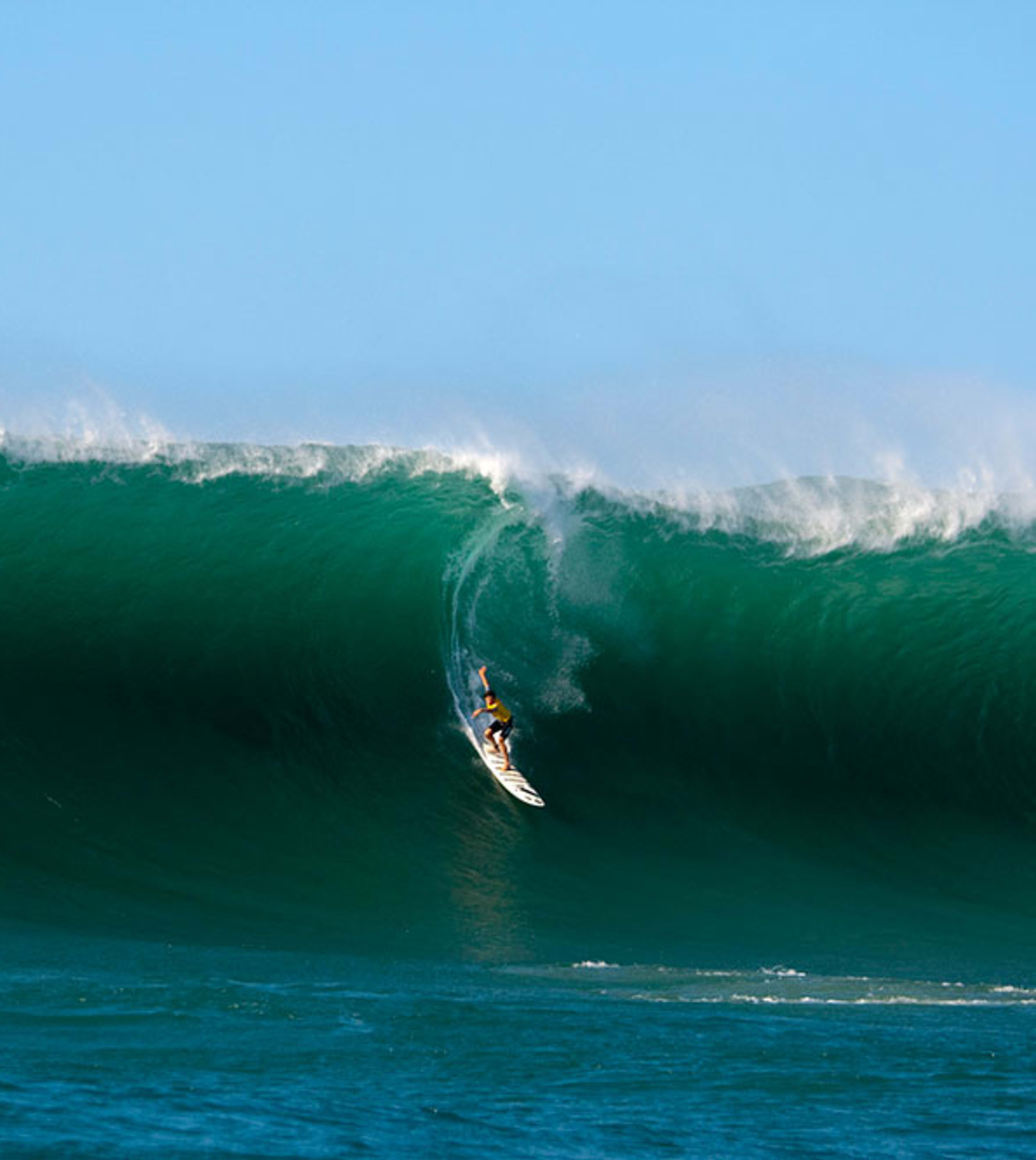 The eddie surf deals