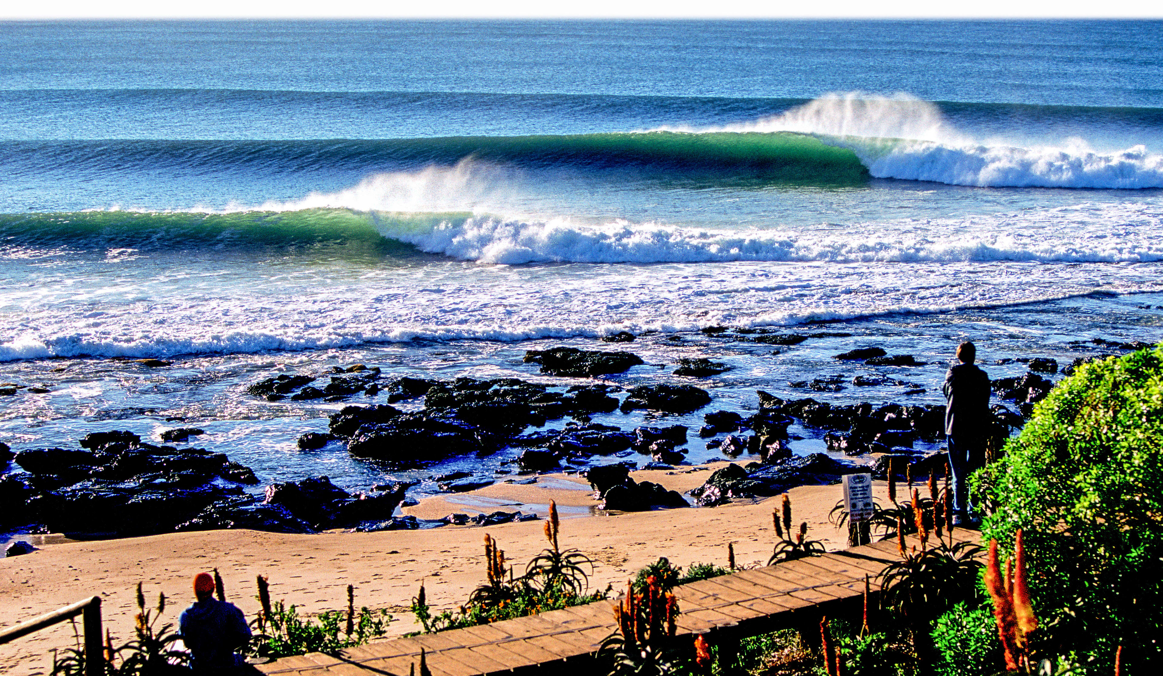 Surf forecasts top