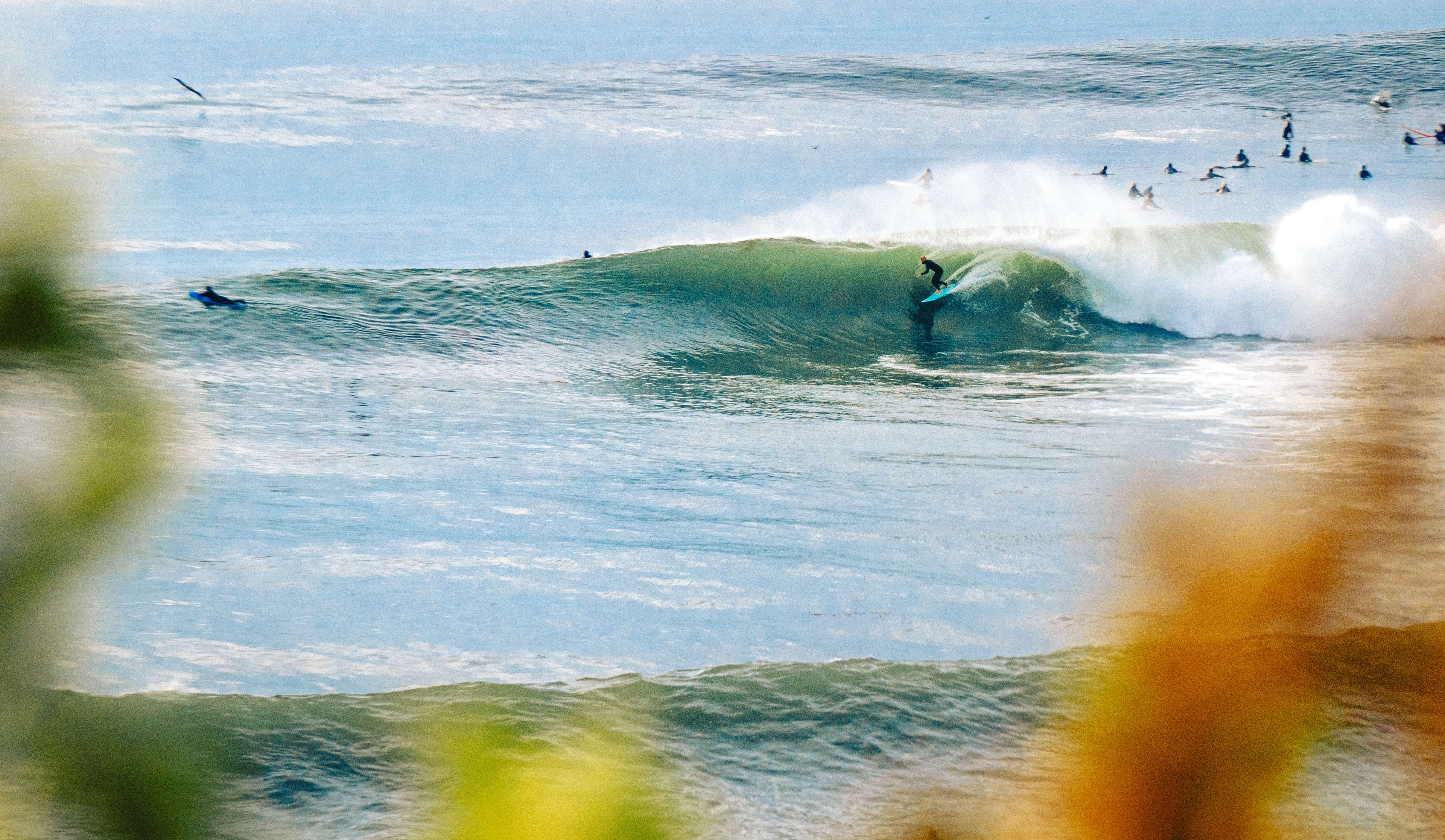 Surfing swell 2025