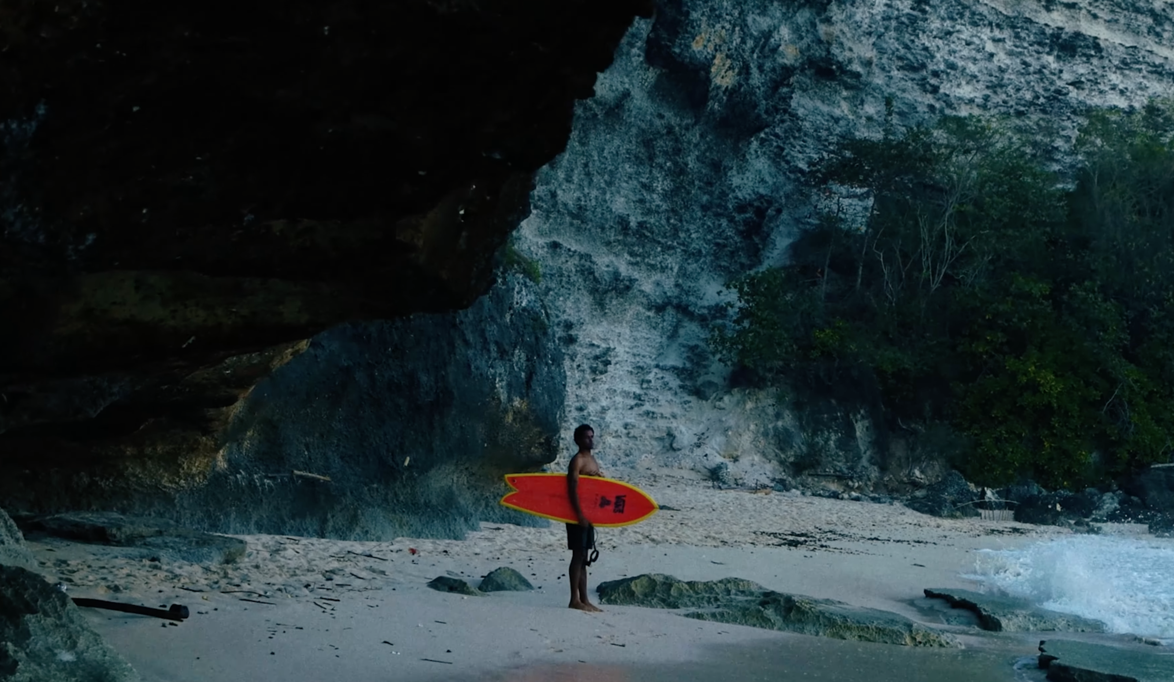 Fish beef surfboard outlet