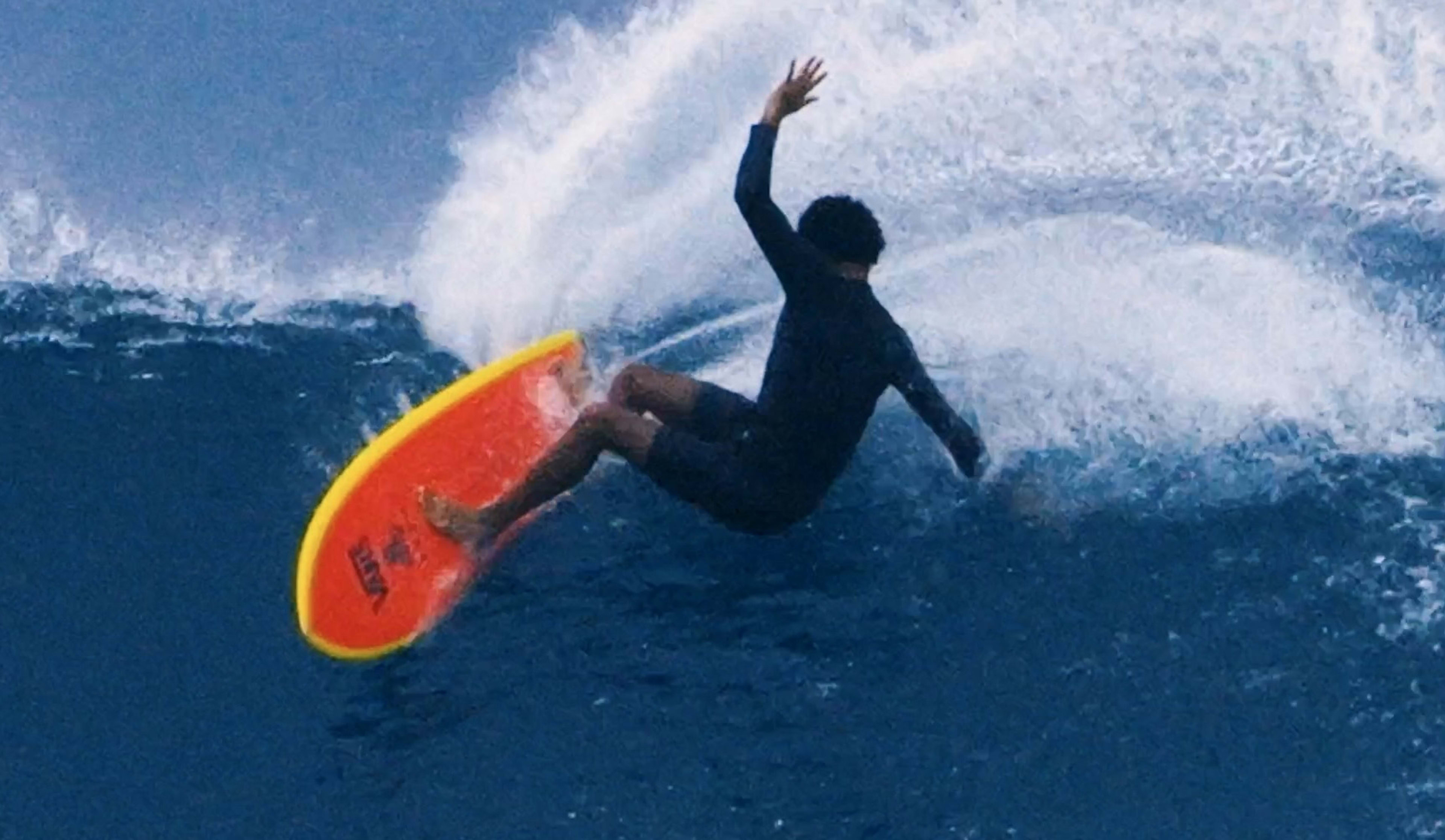 Mikey february twin fin top