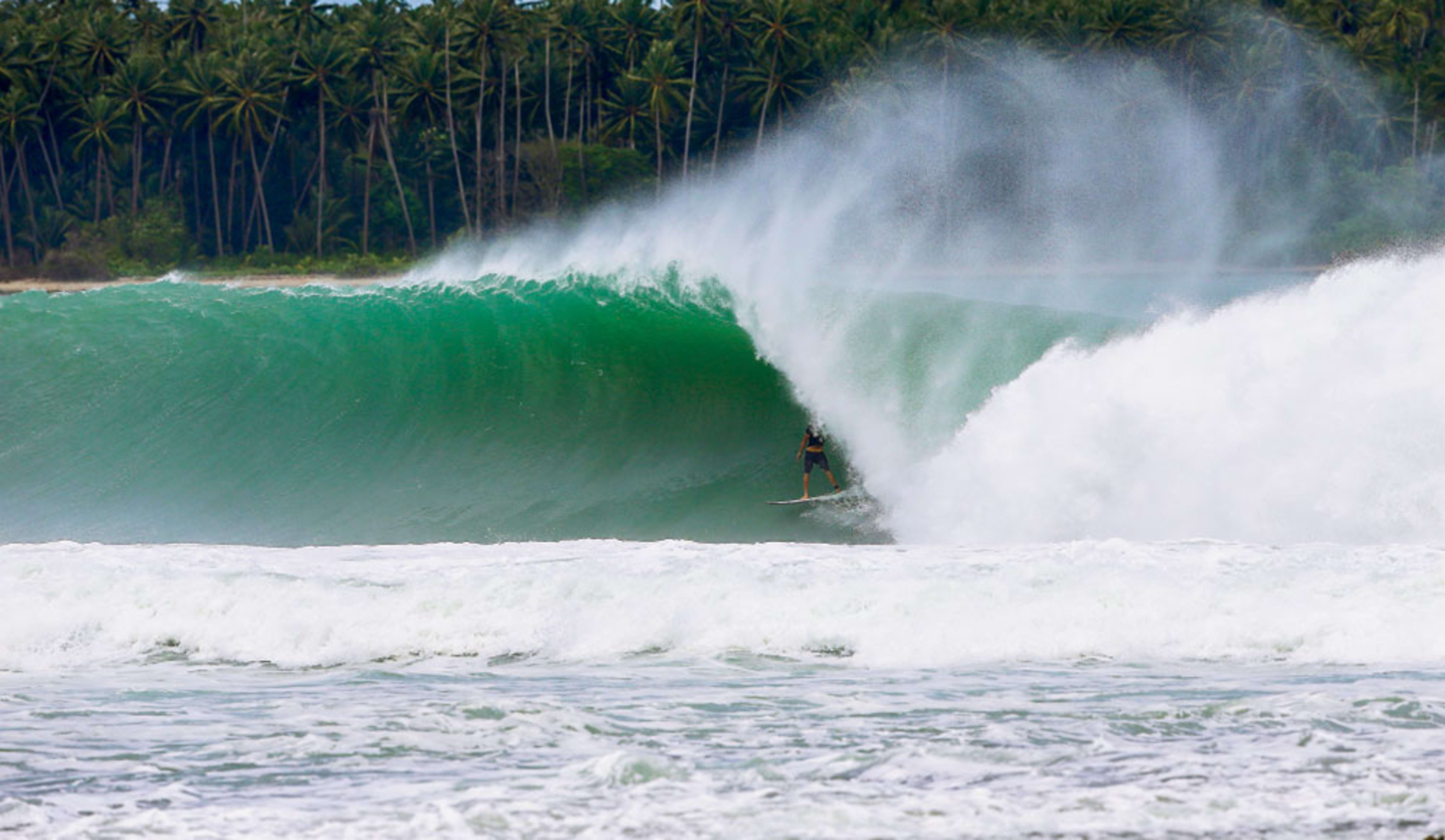 Nias wave top