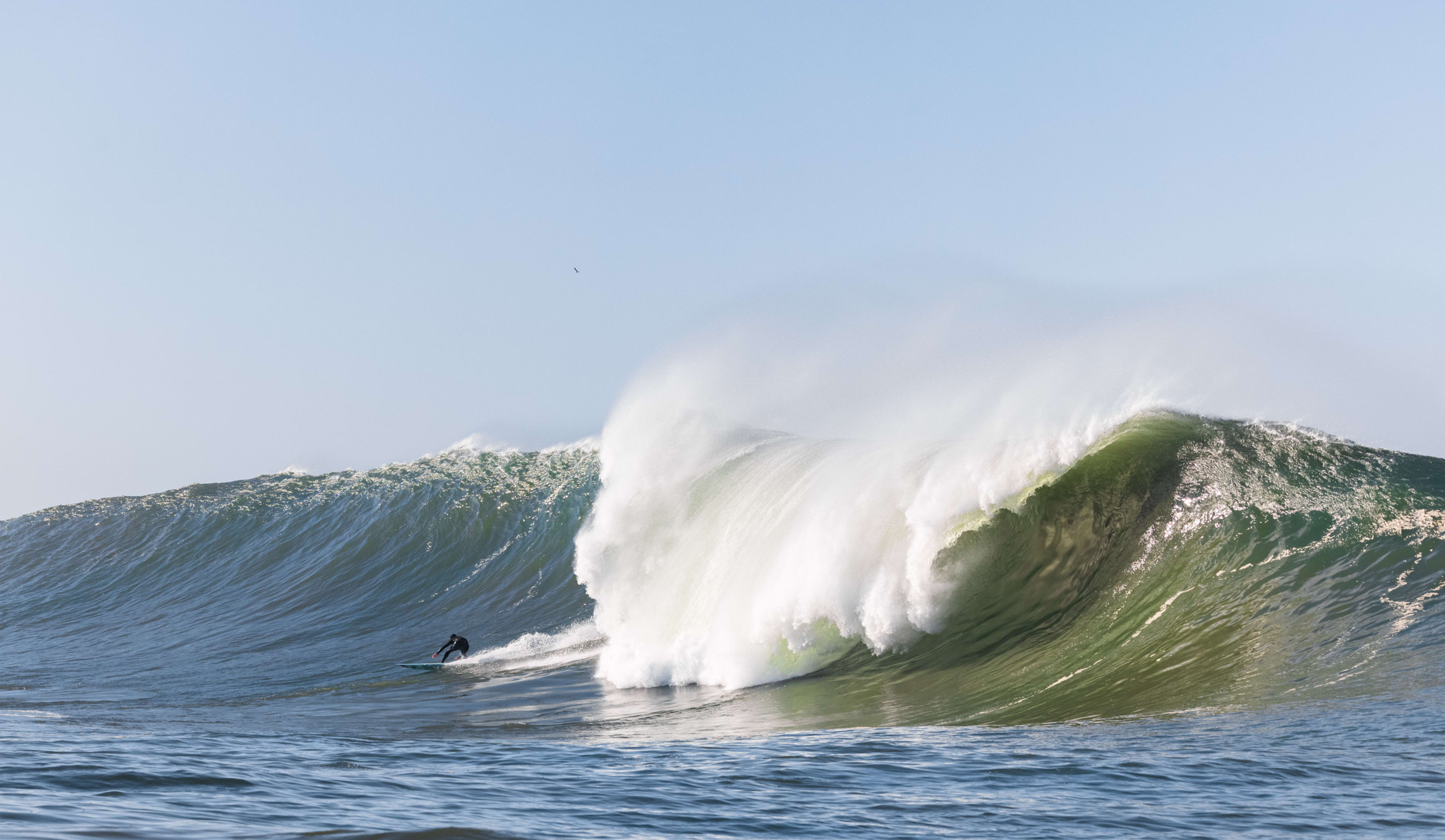 Mavericks waves 2021 cheap