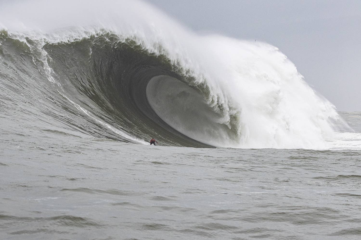 New World Record For Biggest Wave Ever Surfed Potentially new-world-record-for-biggest-wave-ever-surfed-potentially