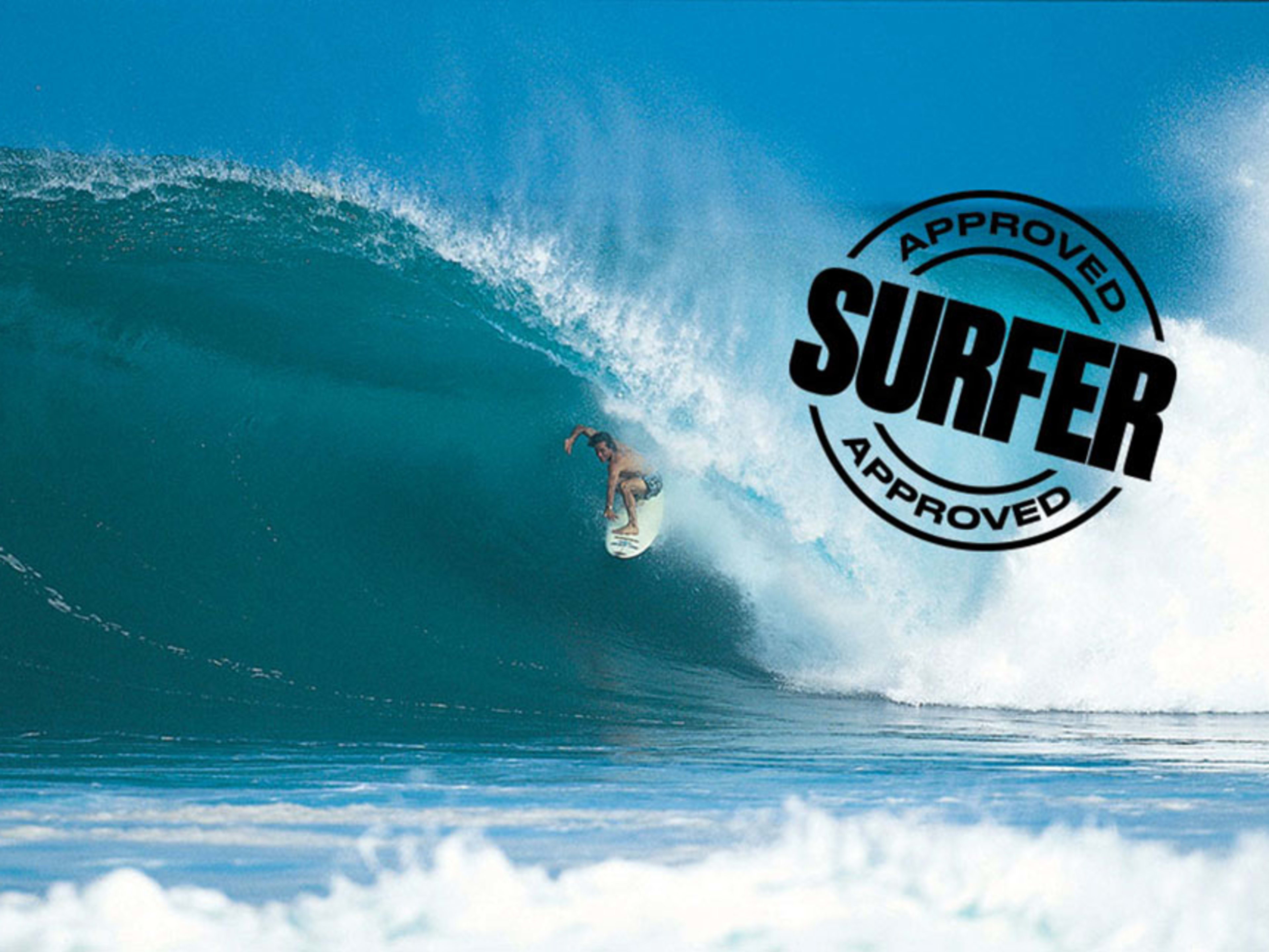 Ocean Pacific サーフィンアート Tom Curren Tom Curren, Ocean Pacific, and Channel Islands Surfboards