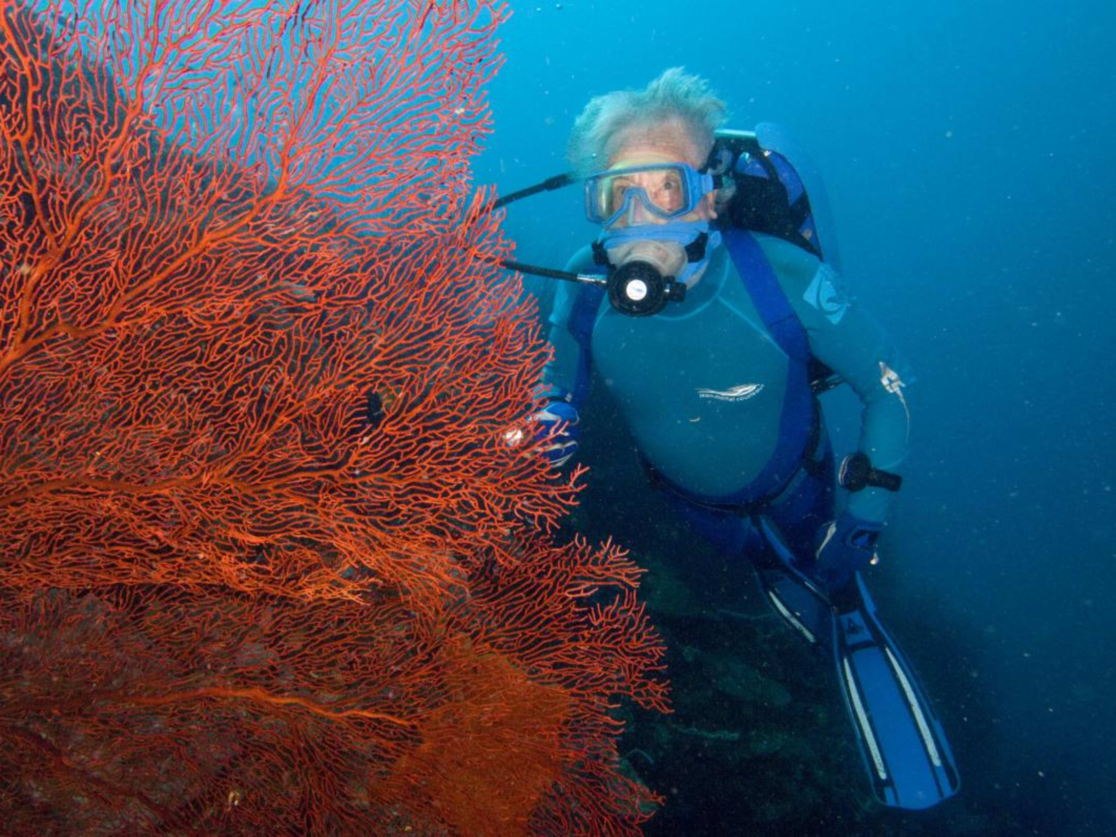 洋書 Jean-Michel Cousteau OCEANS Jean-Michel Cousteau Talks Ocean Conservation, The Legacy Of