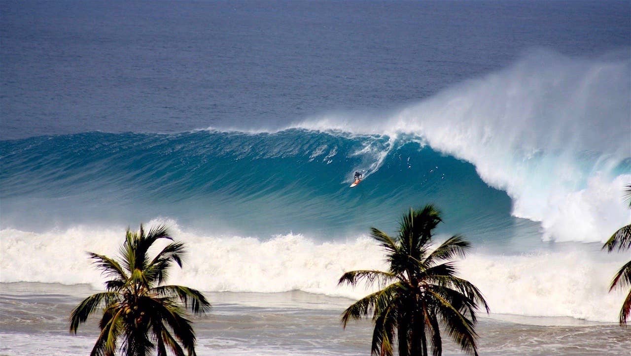 How Surfrider & Puerto Rico Protected Waves at Tres Palmas - Surfer
