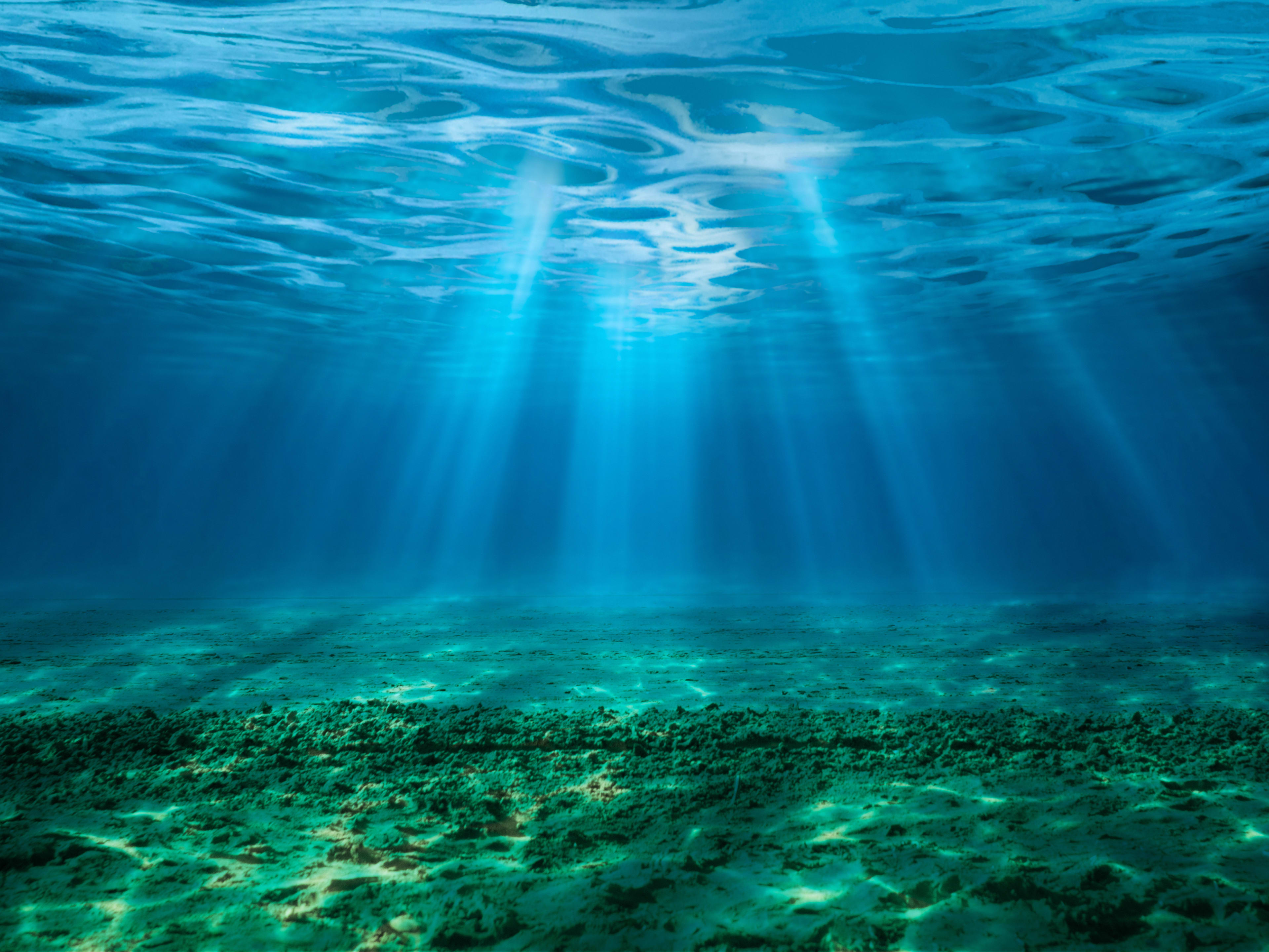 11 Telltale Signs You're a Thalassophile (Sign #5: Vacations Must Be Near the Water)