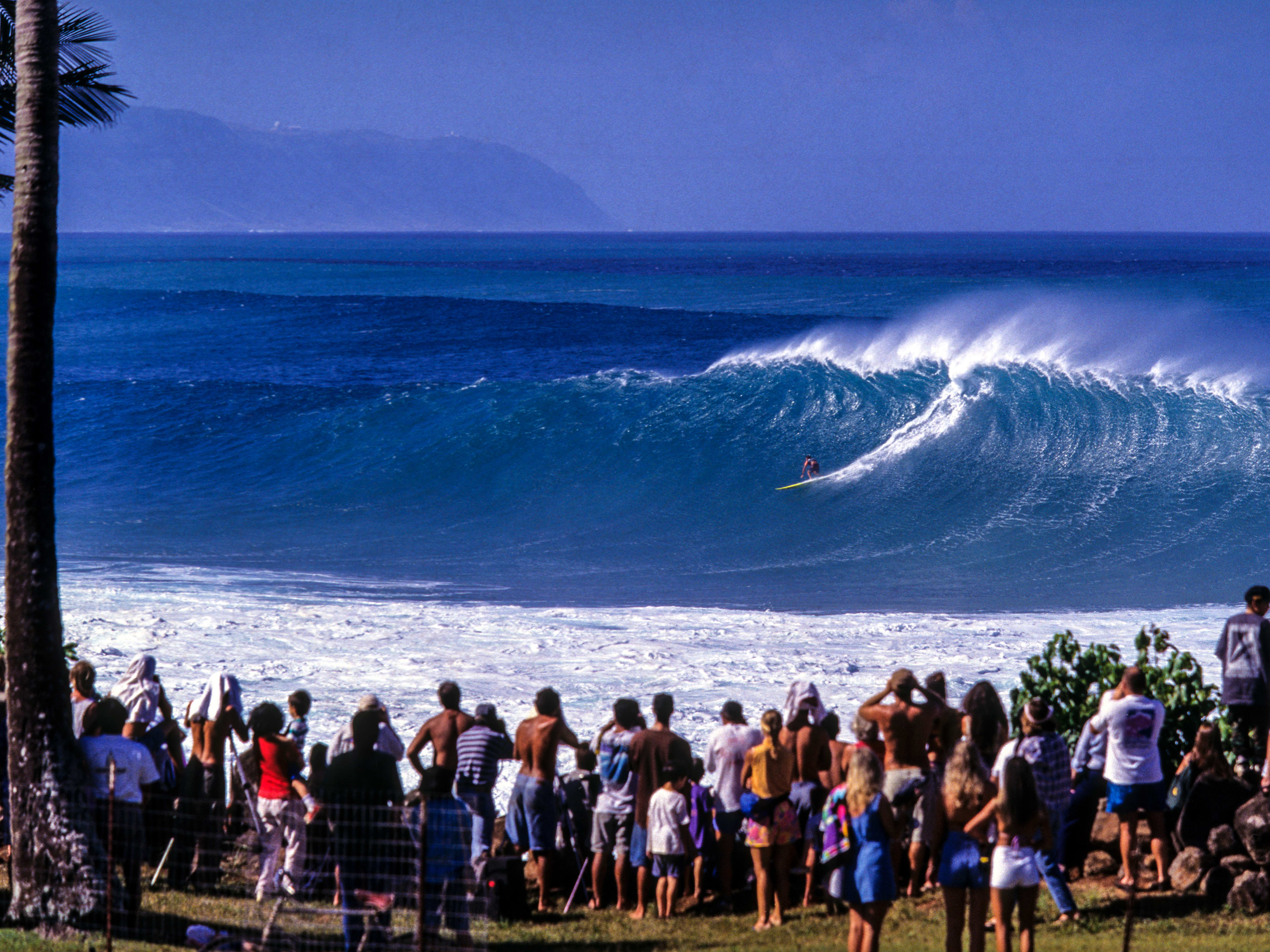 2024 Vans Pipe Masters Invitees Officially Confirmed - Surfer