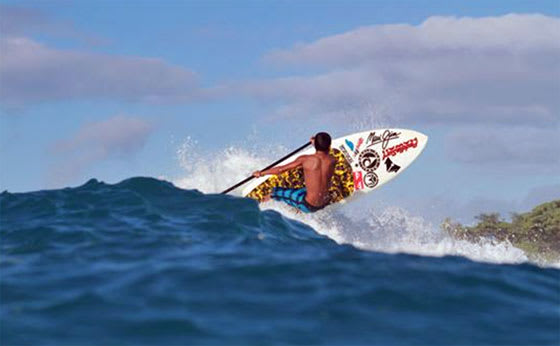 maui jim turtle bay